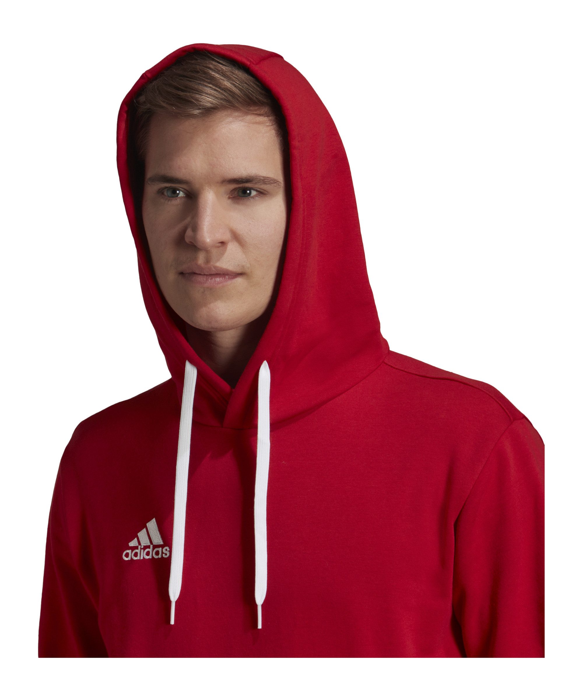 adidas Performance Sweatshirt adidas Performance Entrada 22 Hoody Herren Ba günstig online kaufen
