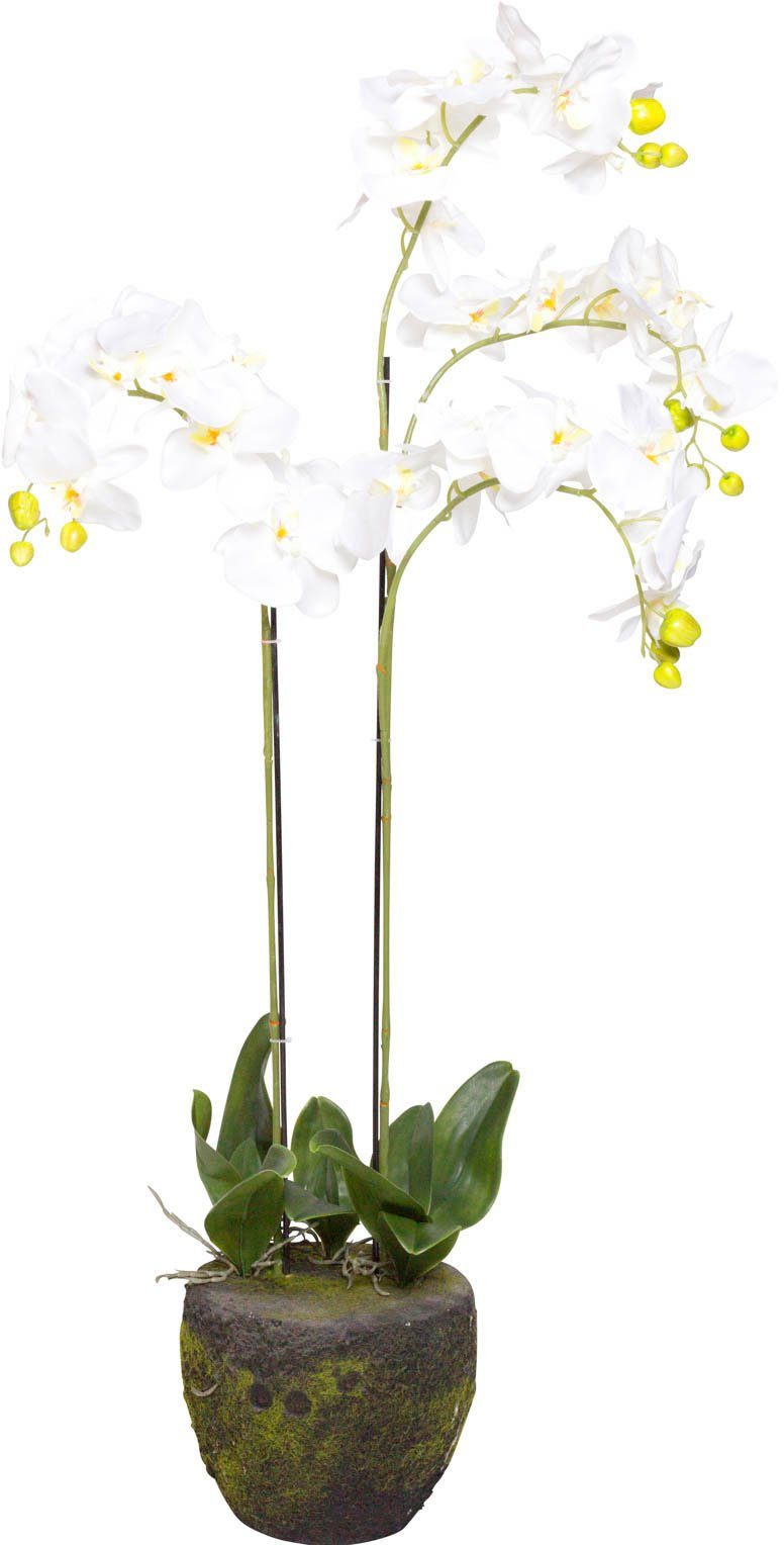 110 cm Orchidee Höhe Orchidee, Kunstorchidee Botanic-Haus,