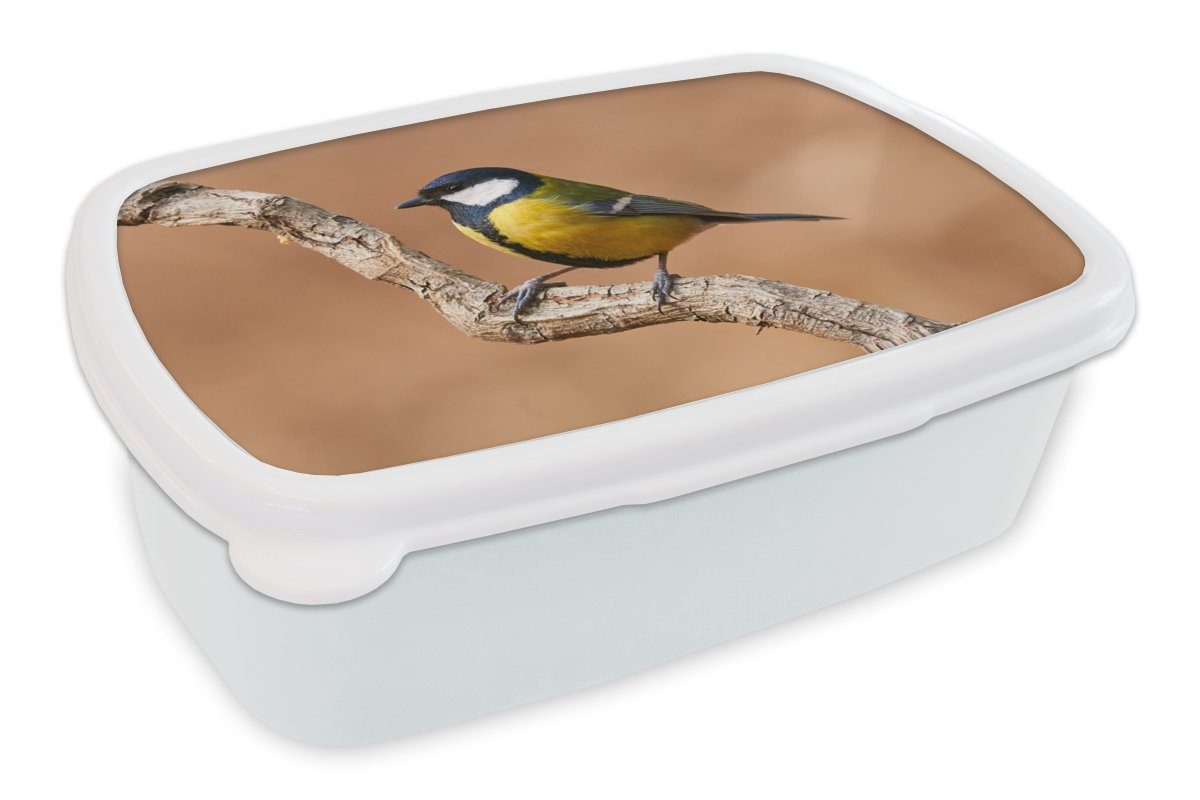 Kunststoff, Brotbox und MuchoWow Vogel Erwachsene, Mädchen Brotdose, - Kohlmeise für Kinder und für (2-tlg), - weiß Lunchbox Jungs Zweige,
