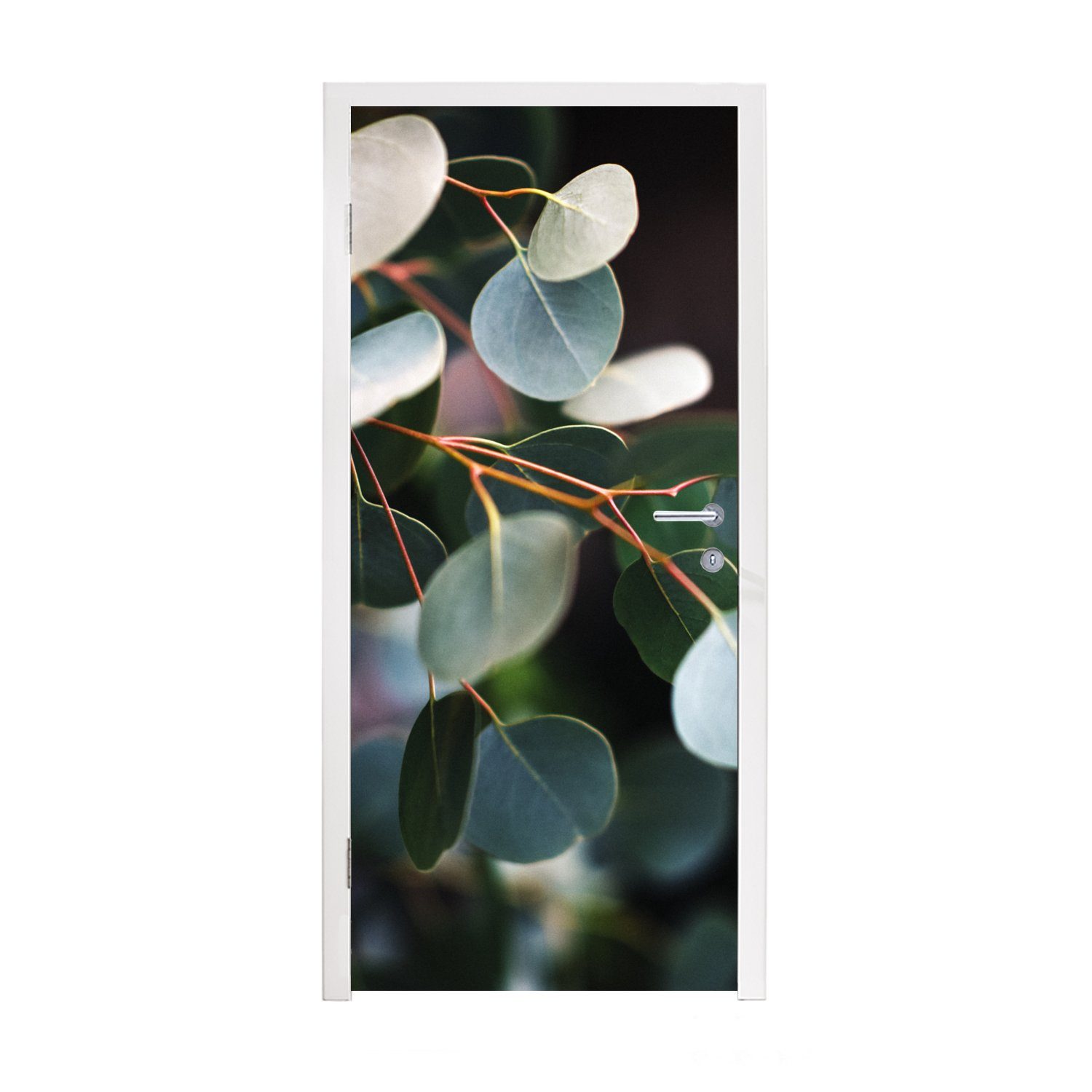 75x205 Matt, Fototapete Eukalyptusblätter bedruckt, MuchoWow auf Zweigen, St), cm Tür, Türtapete Türaufkleber, (1 für
