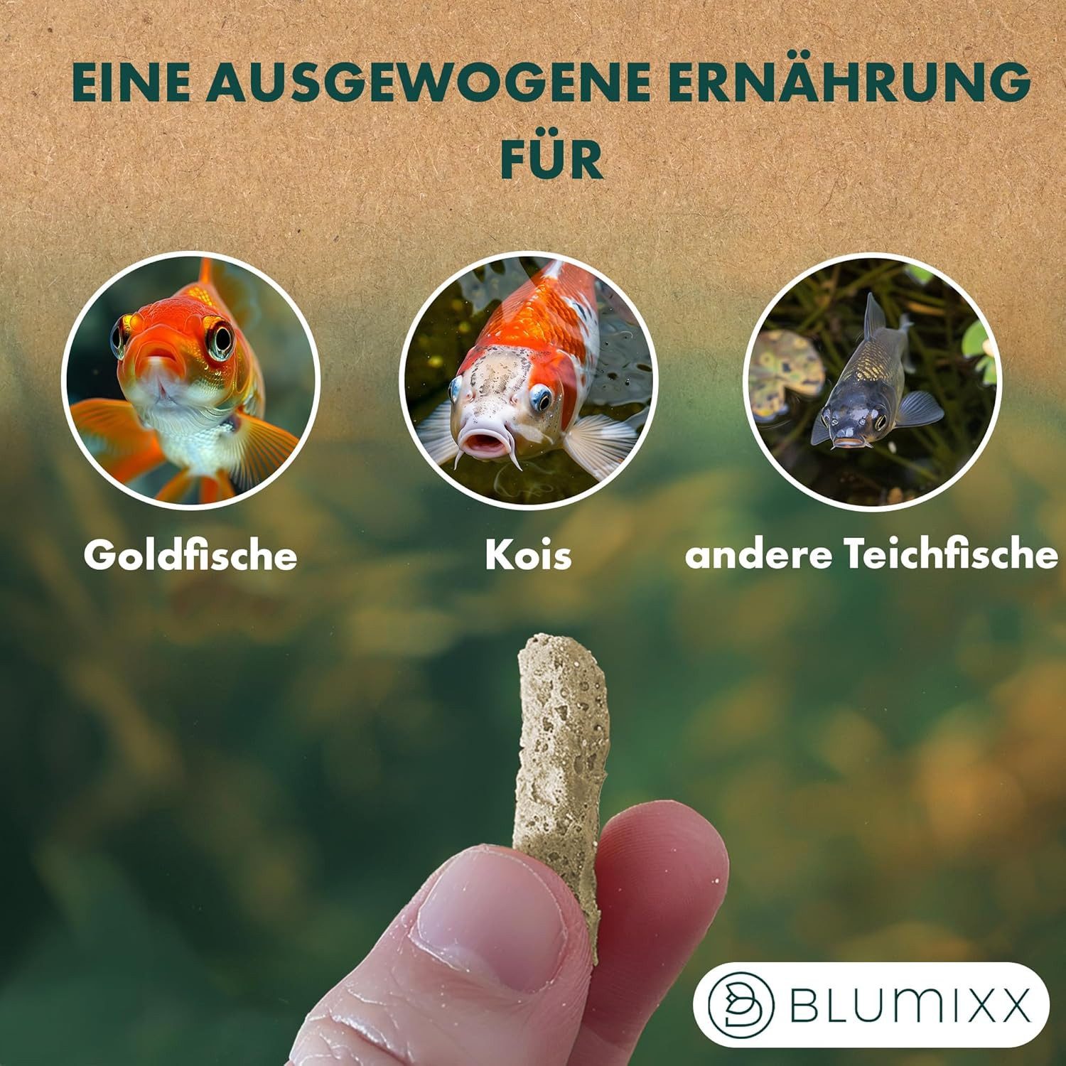 Blumixx Teichsticks - Premium Futter für Fische, Teichfutter für: Fisch, Schwimmfähige Sticks - kontrollierte Fütterung - Nicht trübend