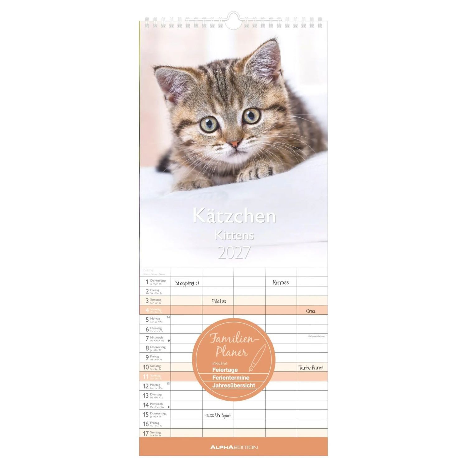 Wandkalender Kätzchen 2027