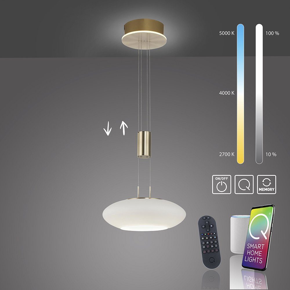 Paul Neuhaus Smarte LED-Leuchte LED Pendellampe Q ETIENNE Smart Home, Smart Home, CCT-Farbtemperaturregelung, RGB-Farbwechsel, Dimmfunktion, Memoryfunktion, mit Leuchtmittel, dimmbar Fernbedienung höhenverstellbar CCT Pendel messing matt | Alle Lampen
