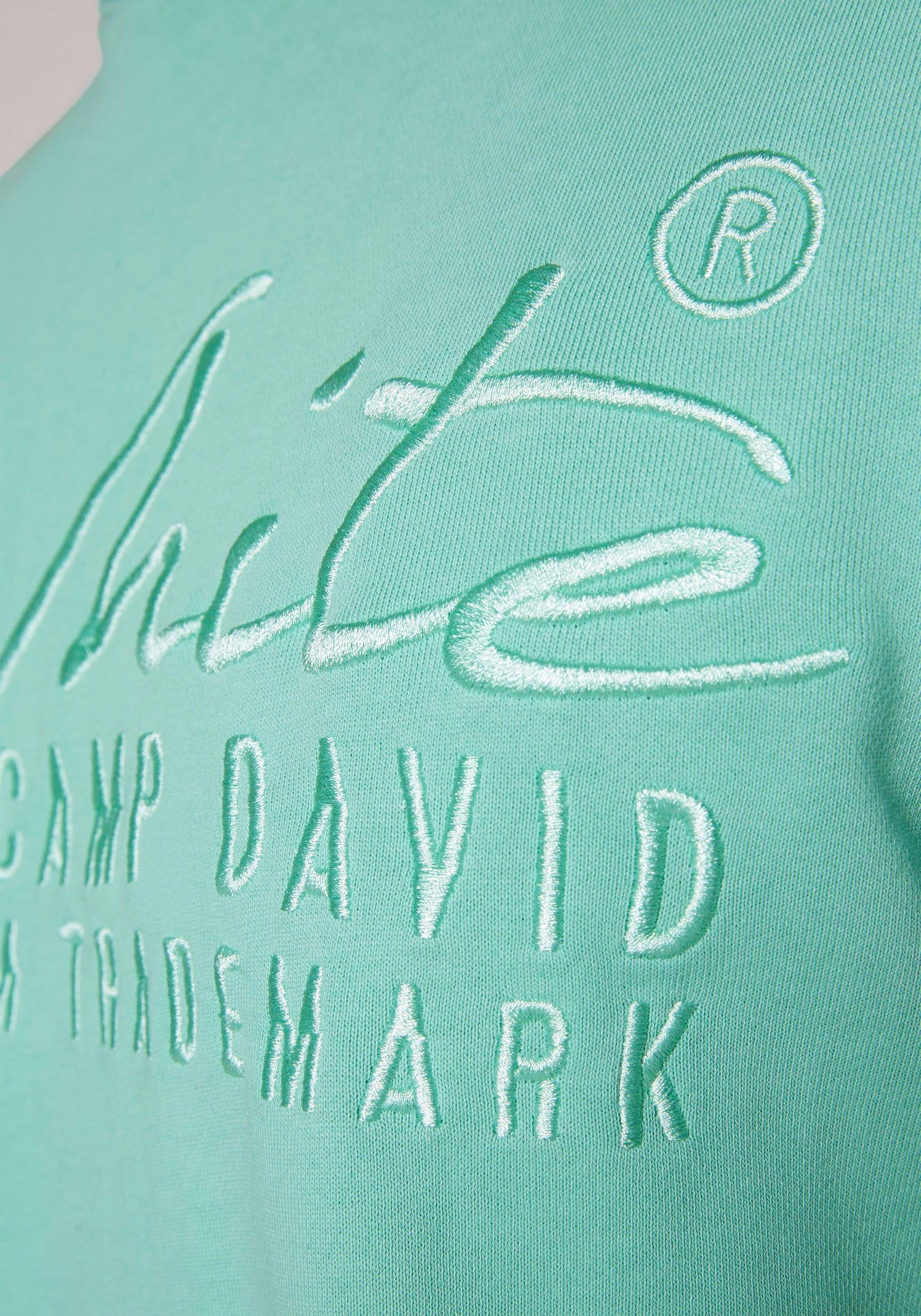 Logostickerei DAVID CAMP mit nordic Kapuzensweatshirt green