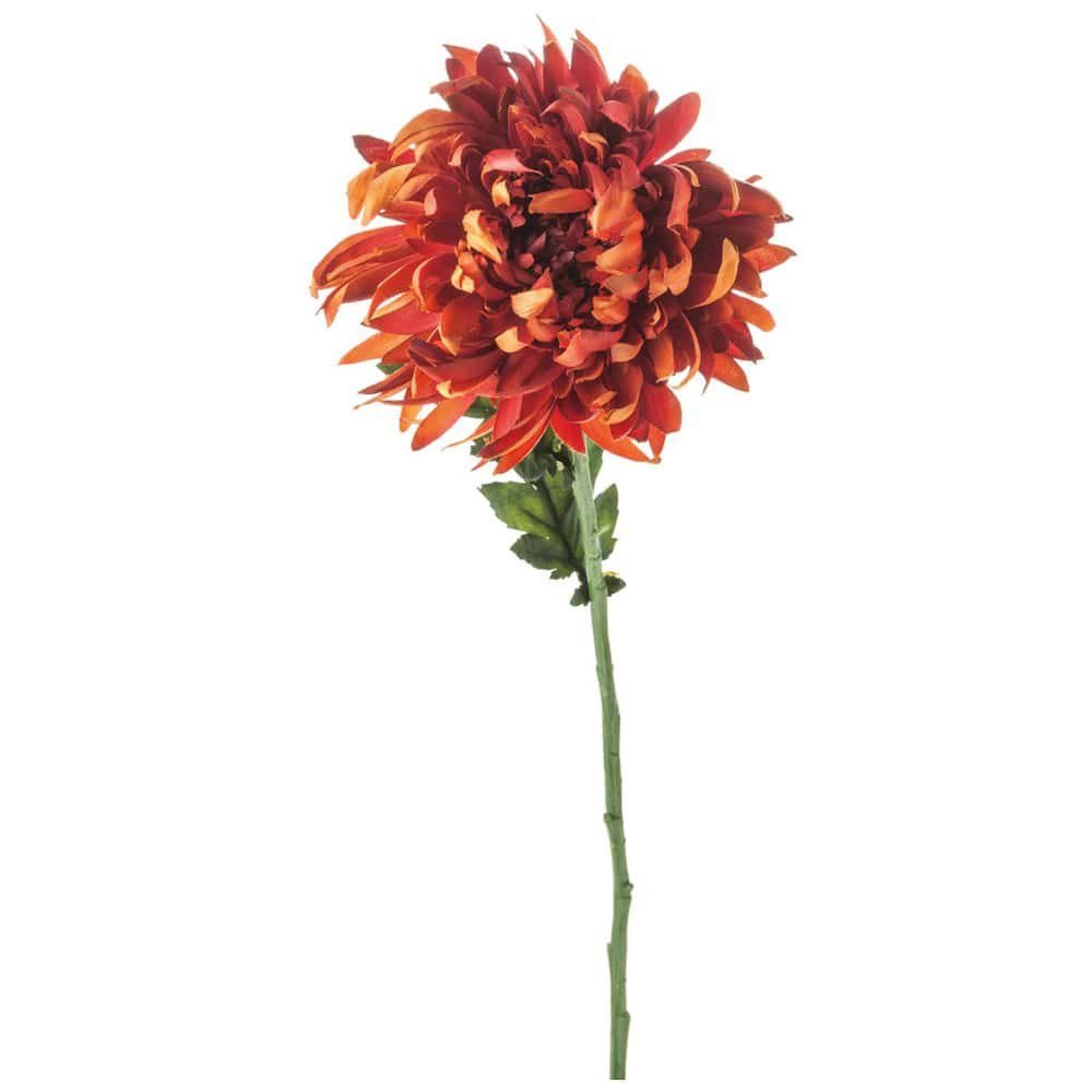 Kunstblume Chrysanthemen Kunstblumen 64 cm 4 Farben Chrysantheme, matches21 HOME & HOBBY, Höhe 64 cm orange