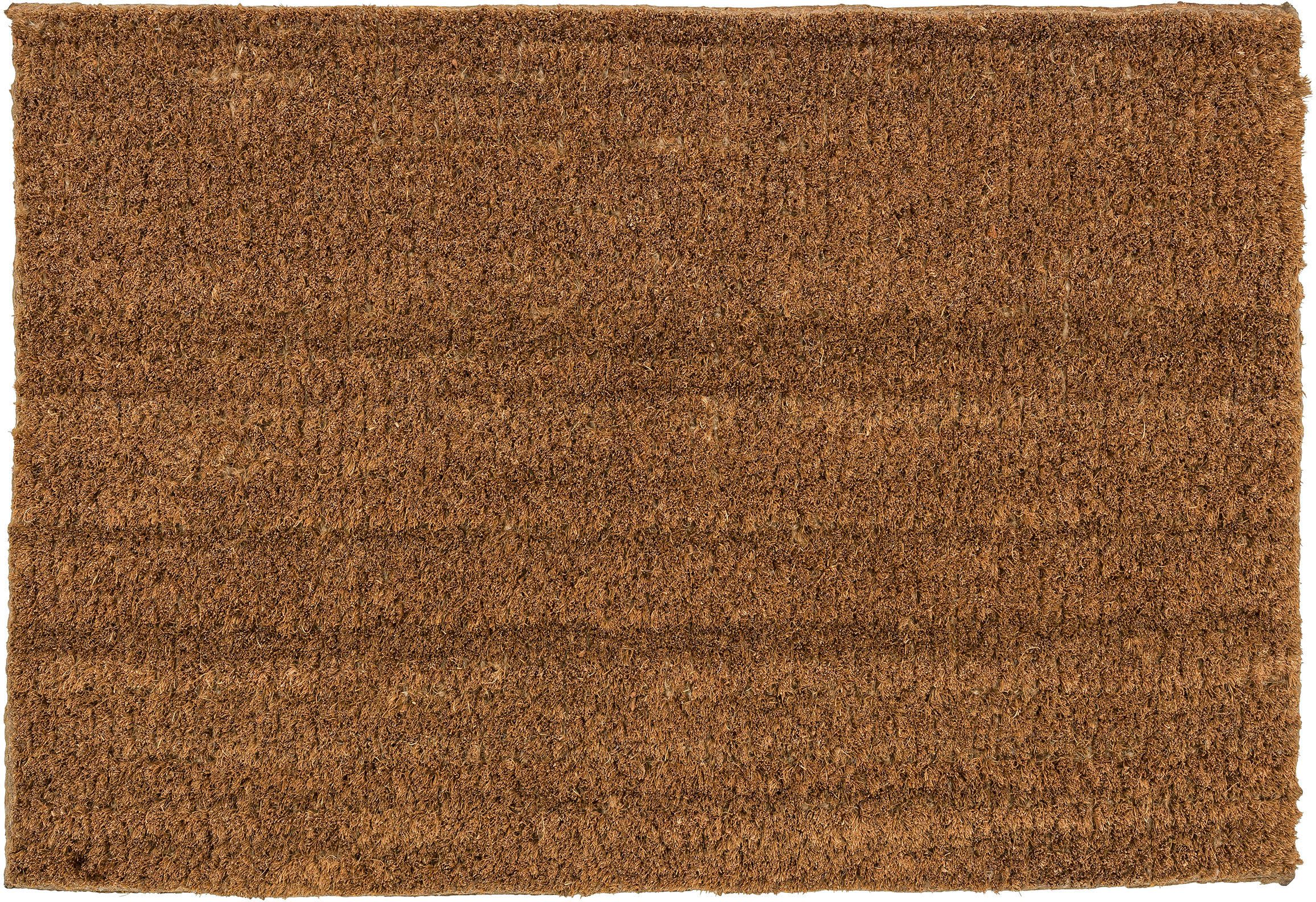 ASTRA Fußmatte Coco Eco 555, rechteckig, Höhe: 16 mm, Schmutzfangmatte, Kok günstig online kaufen