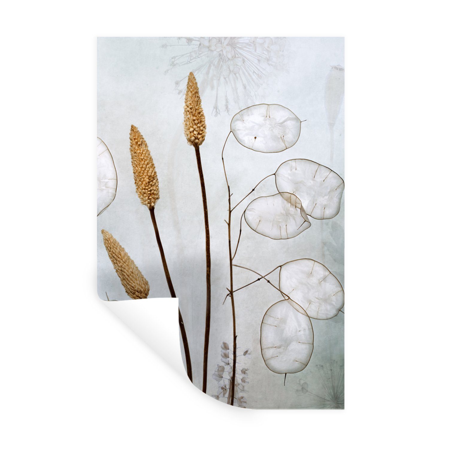MuchoWow Wandsticker Stilleben - Trockenblumen - Natur (1 St), Wandaufkleber, Wandtattoo, Selbstklebend, Wohnzimmer, Schlafzimmer