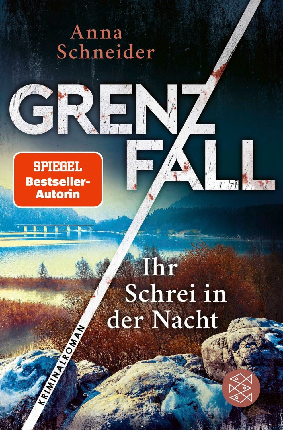 Grenzfall - Ihr Schrei in der Nacht / Anna Schneider