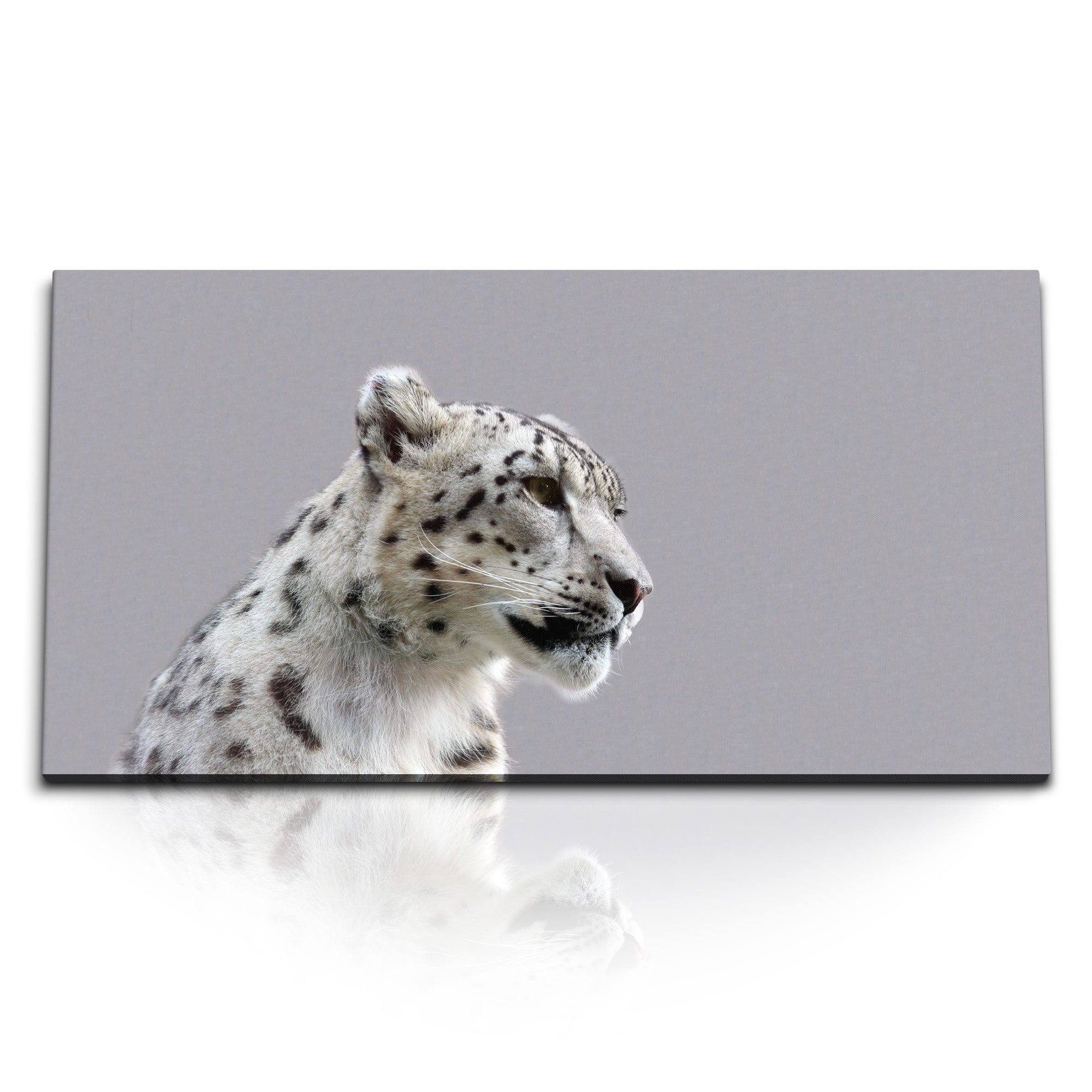 Leinwandbild Kunstdruck Bilder 120x60cm Raubkatze Schneeleopard Leopard Tierfotogra
