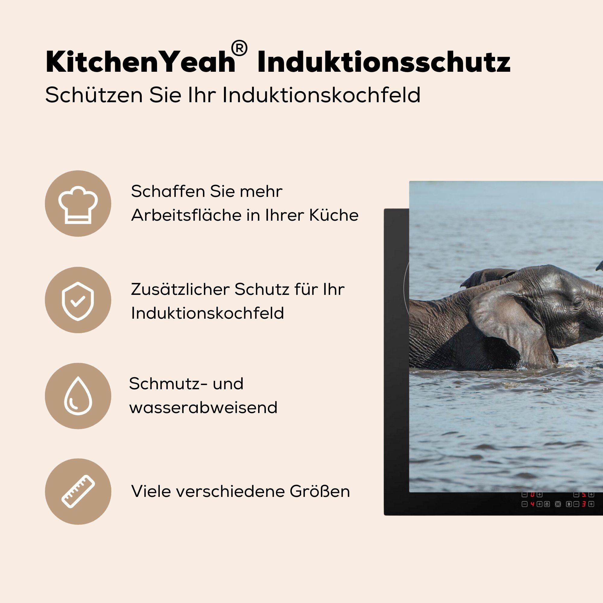 Induktionskochfeld Schutz Ceranfeldabdeckung Herdblende-/Abdeckplatte küche, Fluss MuchoWow Elefant für - die Wasser, Vinyl, tlg), - 81x52 (1 cm,