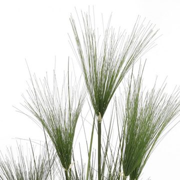 Kunstpflanze Mica Kunstpflanze Papyrus grün im Topf 150 x 19,5, Mica Decorations