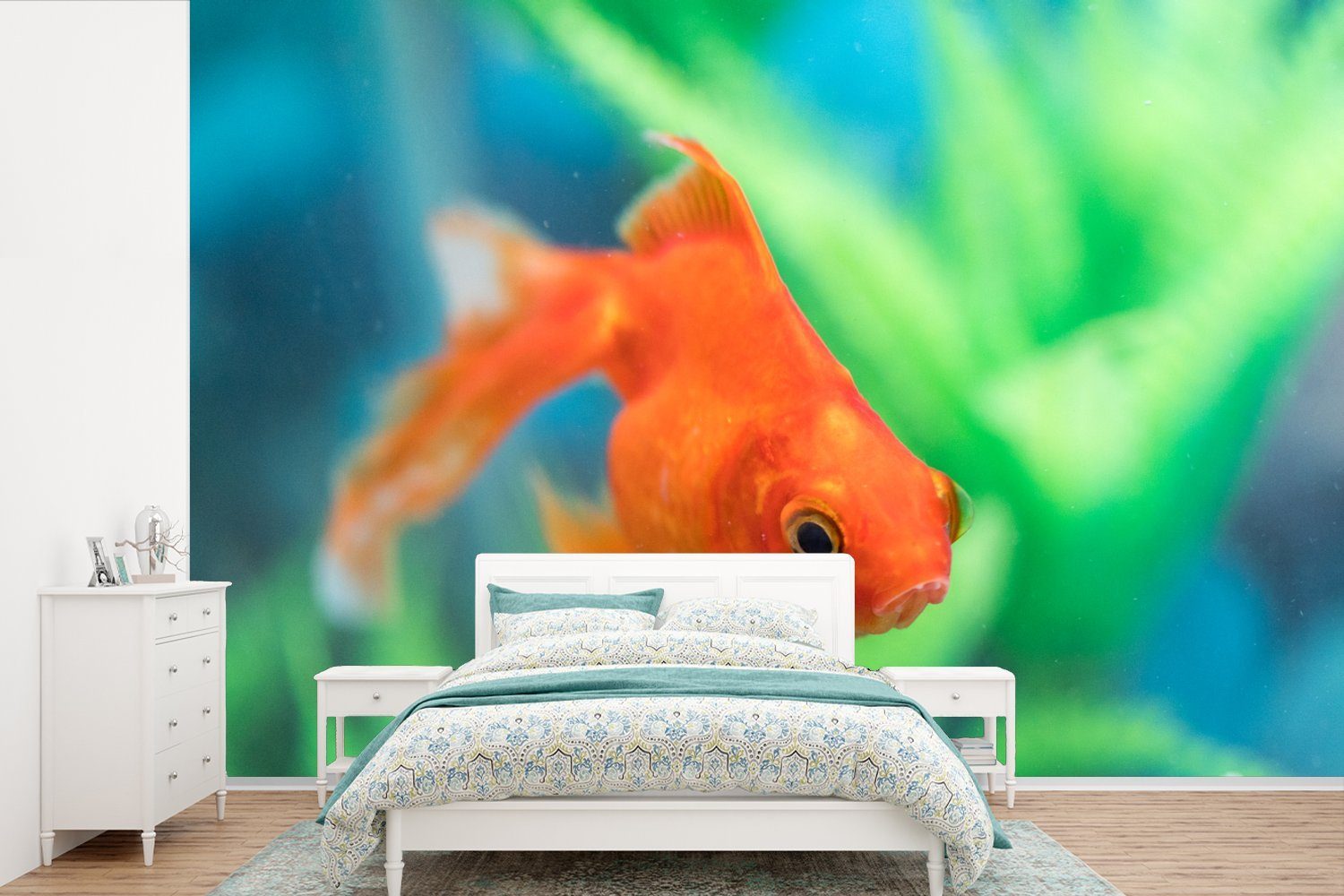 MuchoWow Fototapete Goldfisch in einem Süßwasseraquarium, Matt, bedruckt, (6 St), Wallpaper für Wohnzimmer, Schlafzimmer, Kinderzimmer, Vinyl Tapete
