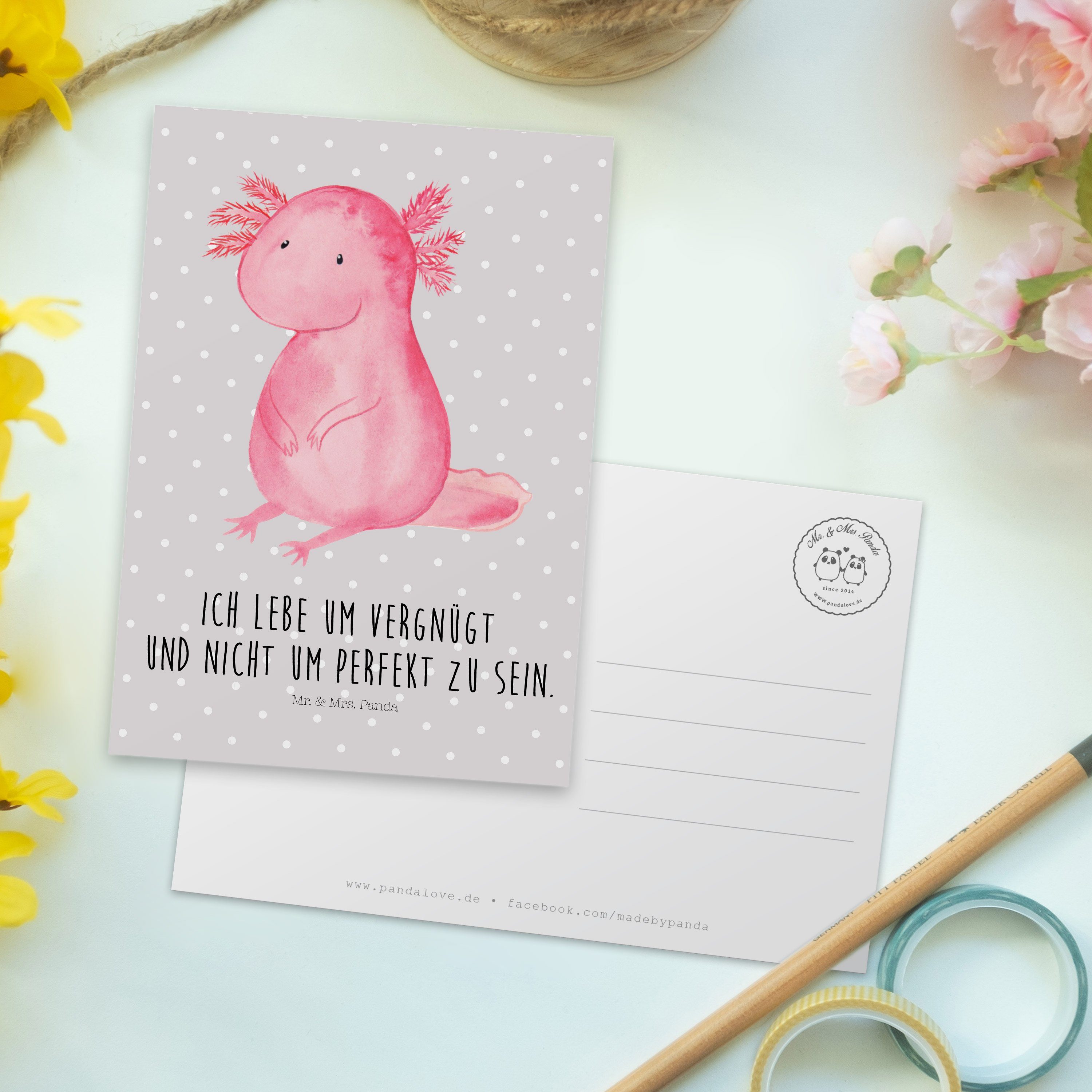 - & Geschenk, Geburtstagsk Mr. Mrs. - Grau Ansichtskarte, Panda Pastell Axolotl Postkarte Molch,