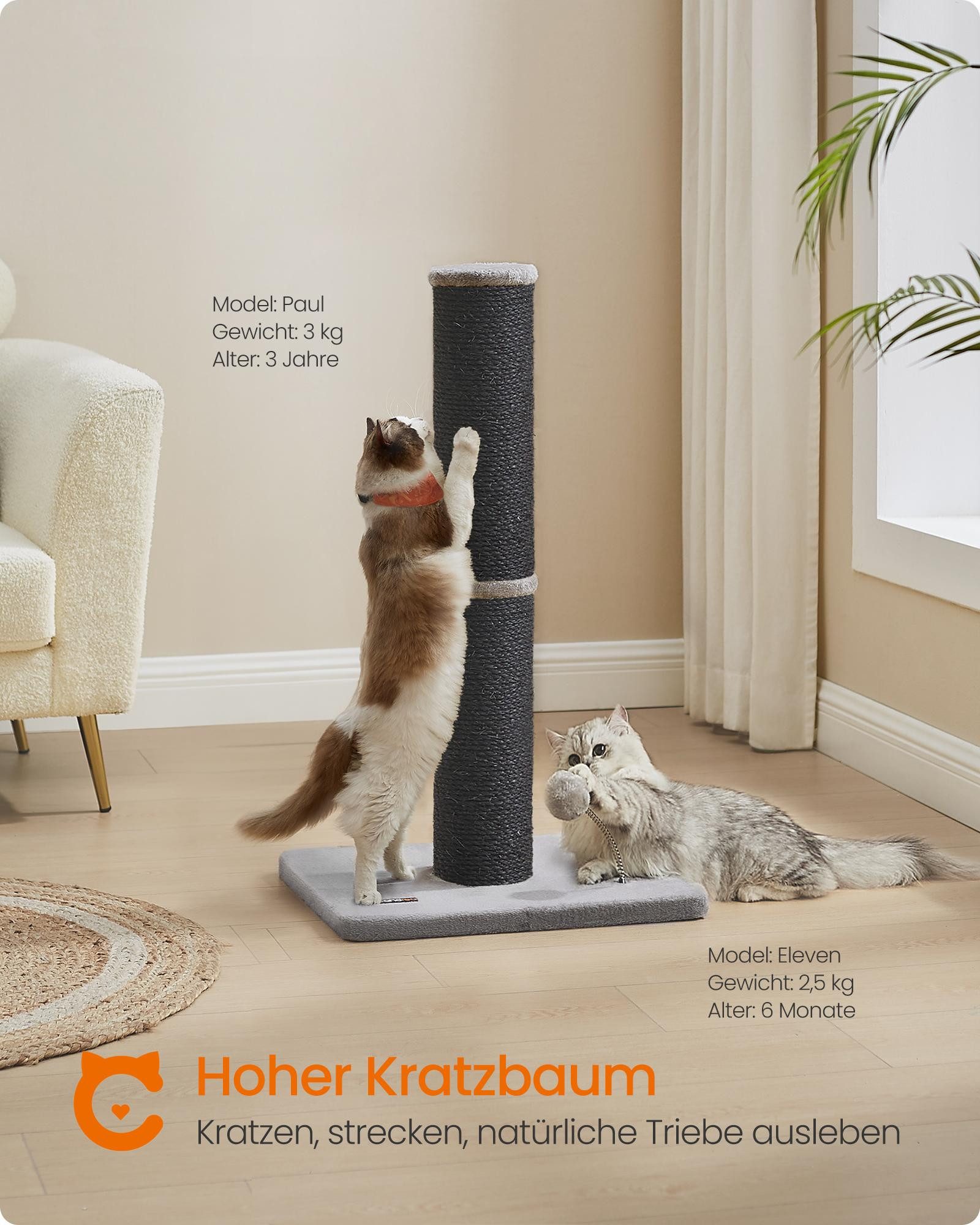 FEANDREA Kratzbaum 85 cm hoch, Katzenbaum, Sisalstamm, mit Plüschball und Glocke, XL, 13 cm dicker Stamm, Kratzstamm für mittelgroße und große Katzen