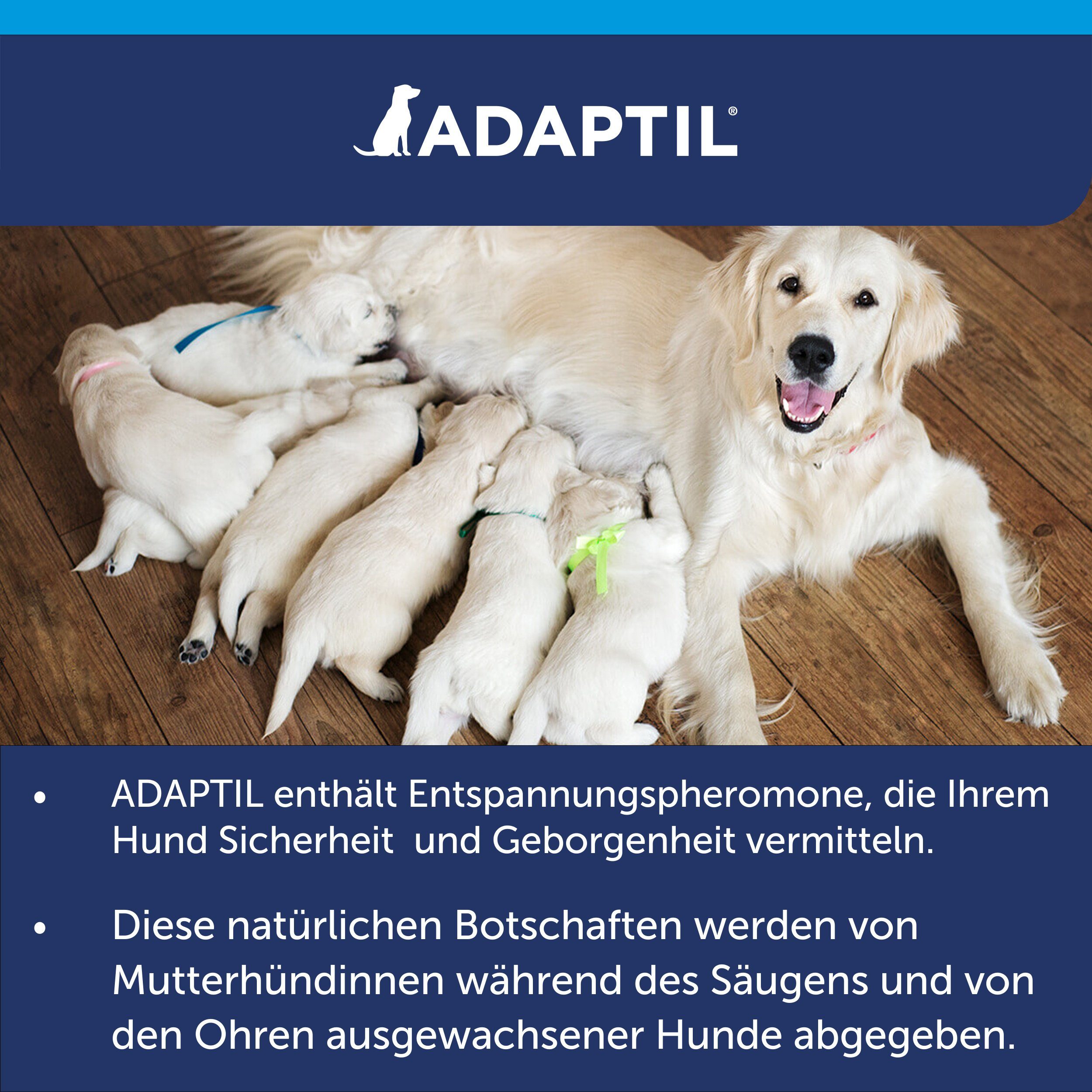 Adaptil Hunde-Halsband Adaptil® Calm Halsband für Welpen und kleine Hunde