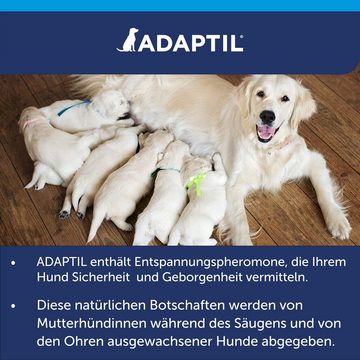 Adaptil Hunde-Halsband ADAPTIL® Calm Halsband - Halsband für *große* Hunde bis 62,5 cm