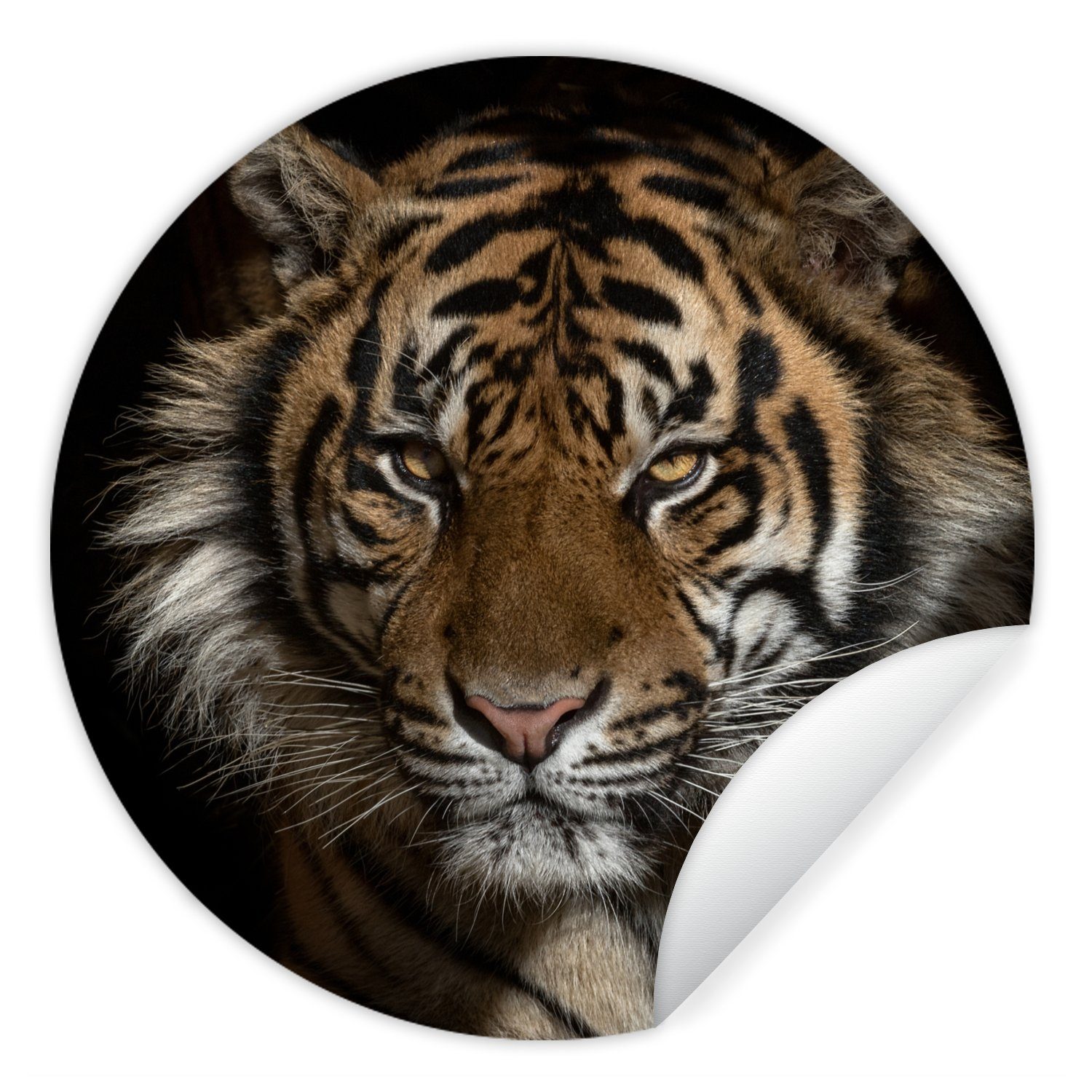 MuchoWow Wandsticker Tiger - Wilde Tiere - Porträt (1 St), Tapetenkreis für Kinderzimmer, Tapetenaufkleber, Rund, Wohnzimmer
