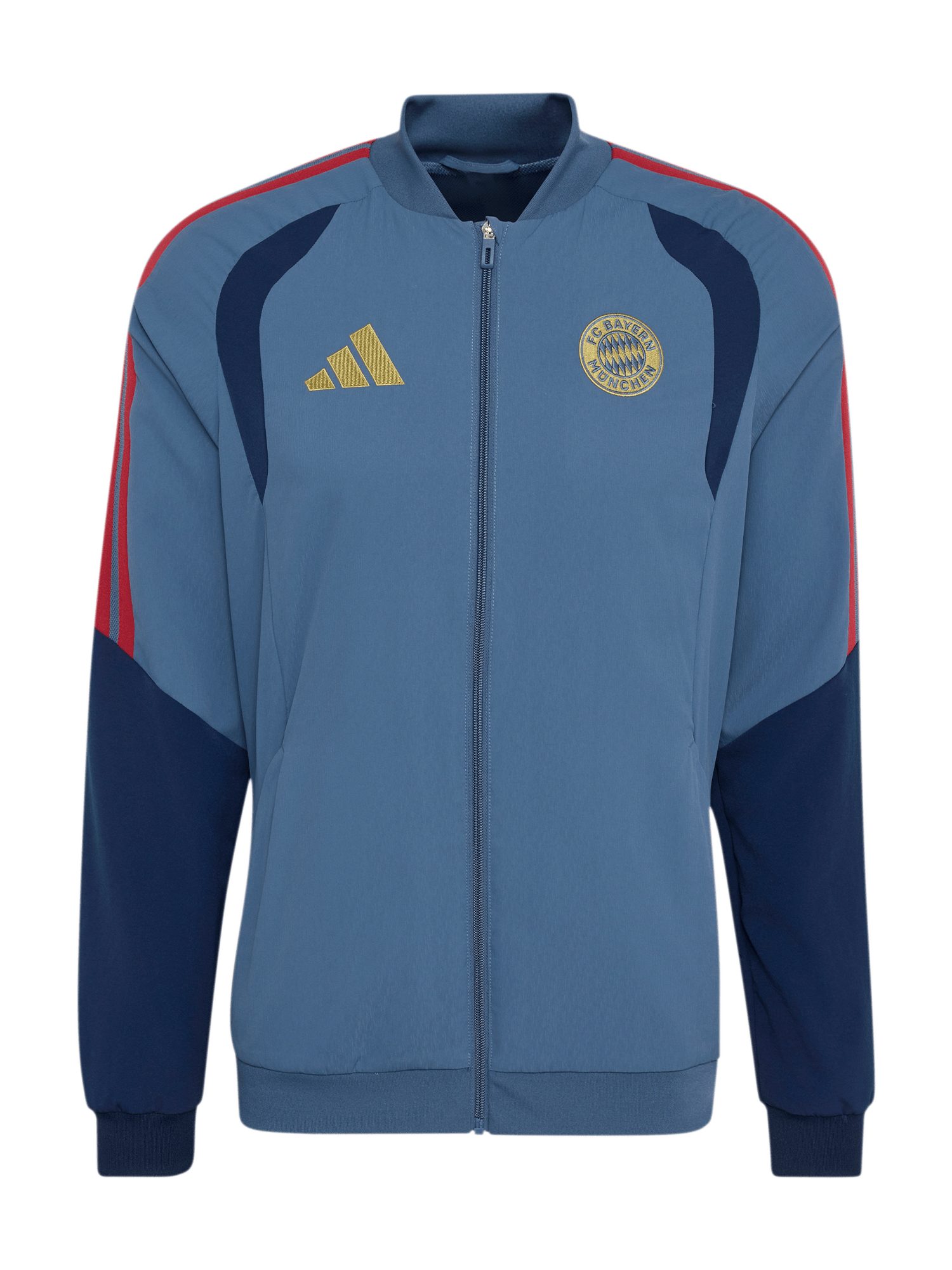 Trainingsjacke FC Bayern München, Präsentationsjacke Teamline, Herren, Blau