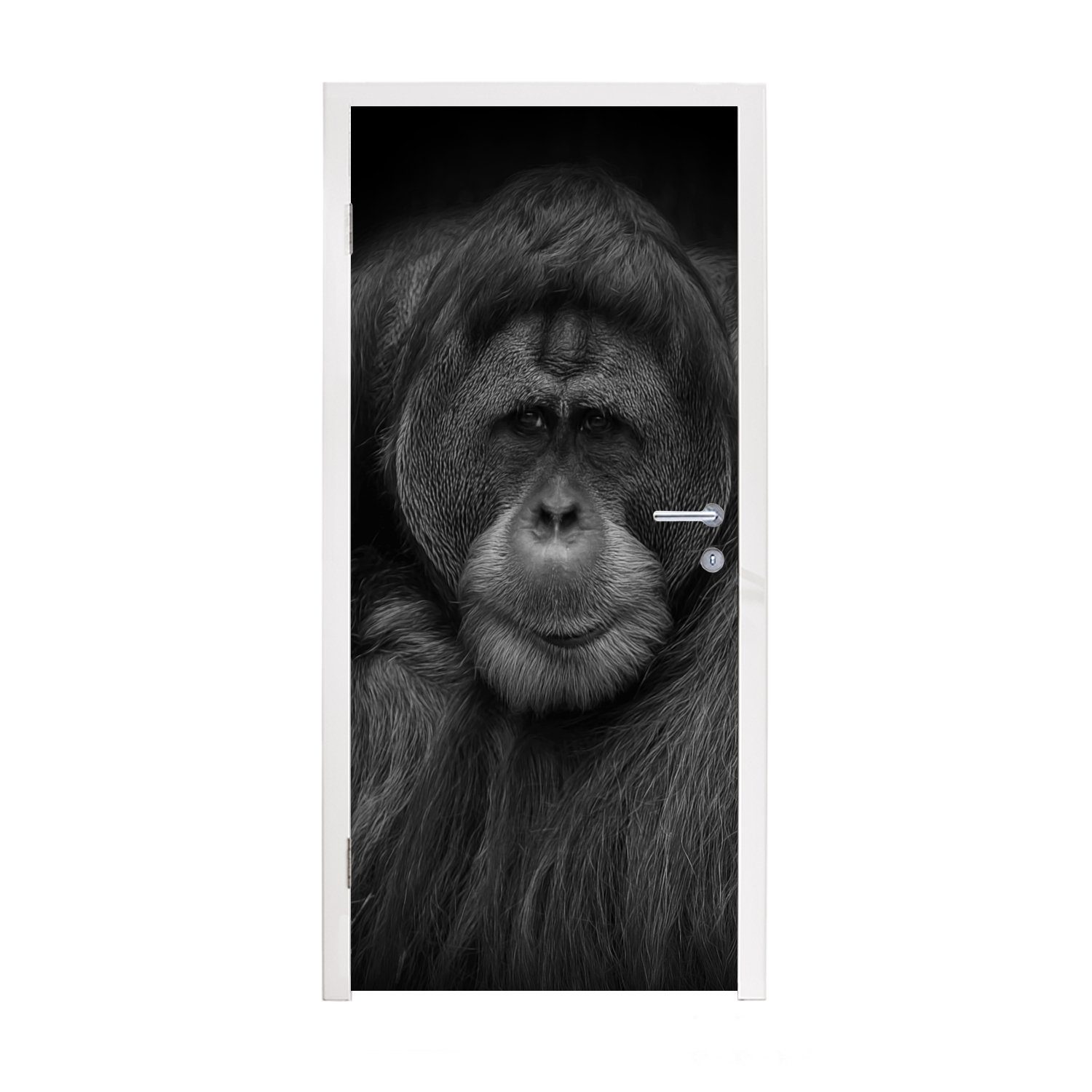 MuchoWow Türtapete Orang-Utan-Profil in Schwarz und Weiß, Matt, bedruckt, (1 St), Fototapete für Tür, Türaufkleber, 75x205 cm