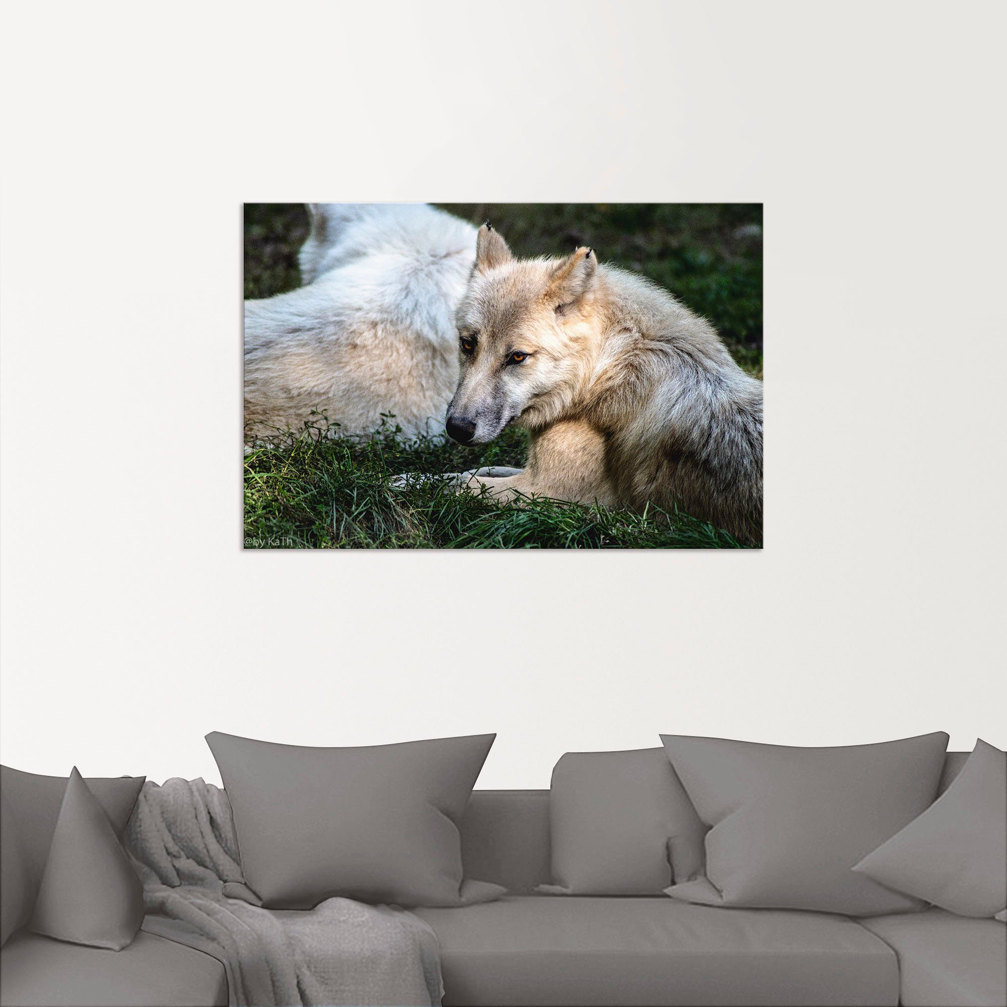 II, Wandbild versch. Leinwandbild, (1 Größen Wolfbilder Wolf als in Poster Alubild, Wandaufkleber Artland St), oder