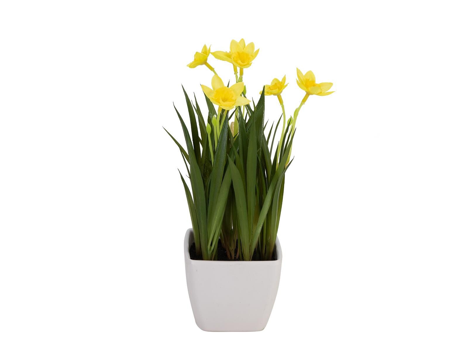 Kunstpflanze EUROPALMS Narzisse, Kunstpflanze, 23cm, EUROPALMS, Höhe 7,5 cm