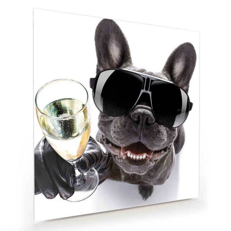 Primedeco Glasbild Wandbild Quadratisch Bulldogge mit Prosecco Glas mit Aufhängung, Tiere