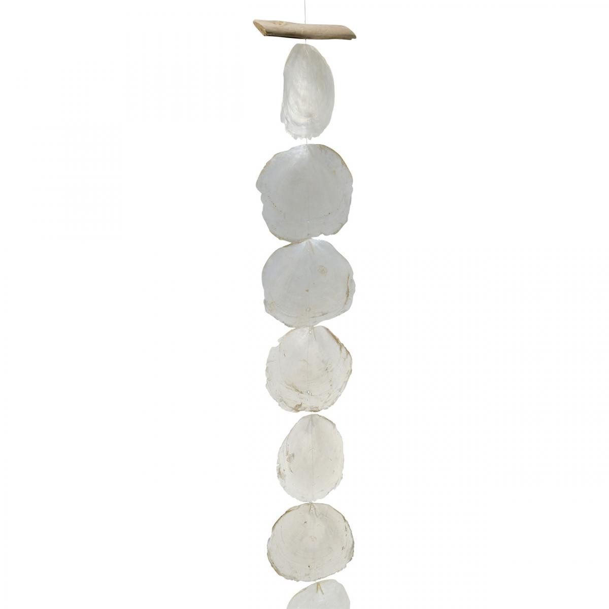 Kaemingk Bastelnaturmaterial Maritime Muschelgirlande aus Capiz für Wand- und