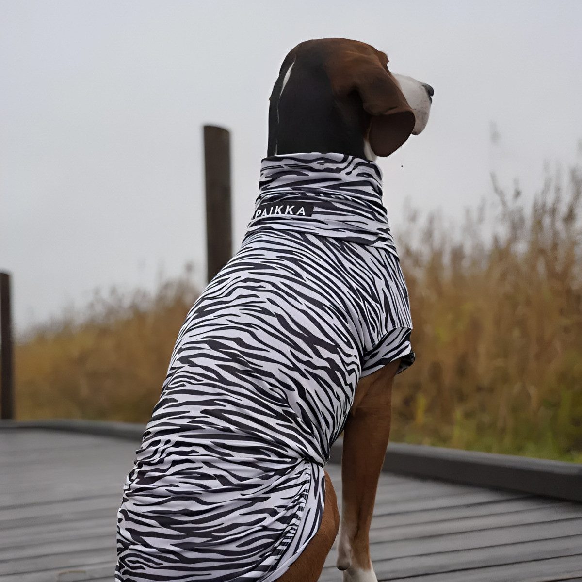 PAIKKA Hundeshirt Hundeshirt Sonnenschutz/Antiparasit mit Repeltec UV & Bug Shirt