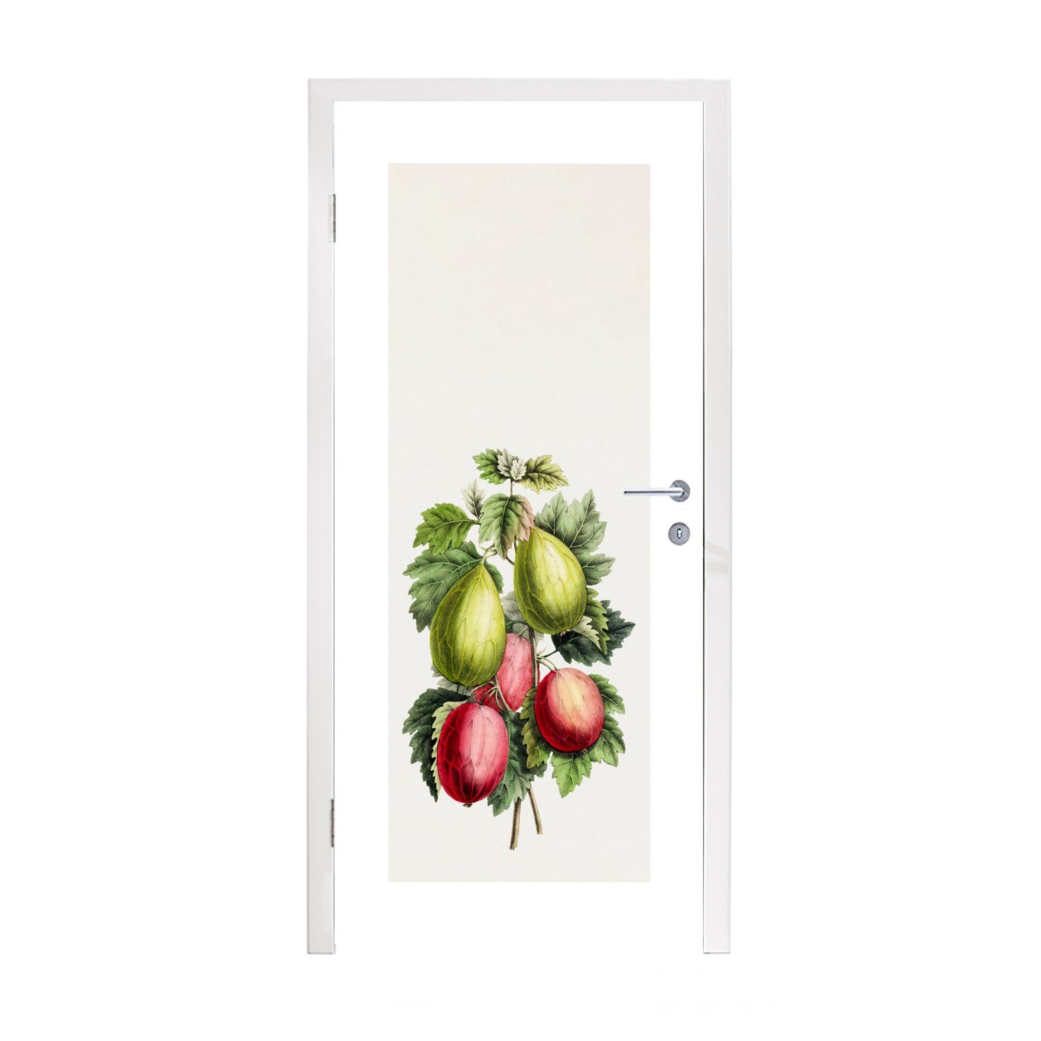 MuchoWow Türtapete Lebensmittel - Pflanze - Feigen, Matt, bedruckt, (1 St), Fototapete für Tür, Türaufkleber, 75x205 cm | Türtapeten