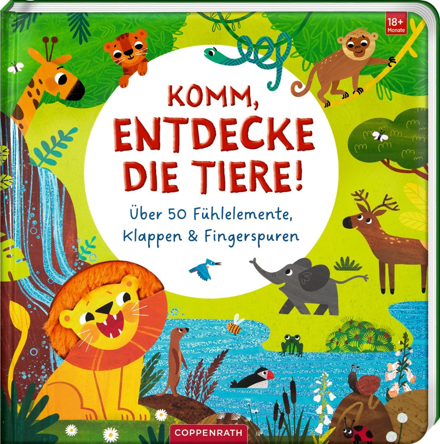Komm, entdecke die Tiere! / diverse