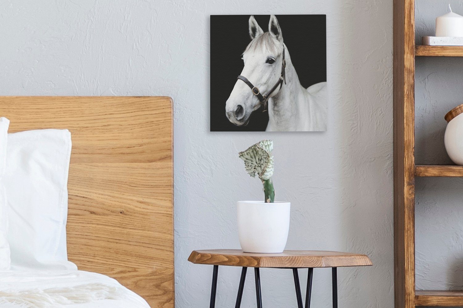 Leinwandbild Halfter Wohnzimmer St), - Pferd für Leinwand (1 Bilder Weiß, OneMillionCanvasses® - Schlafzimmer