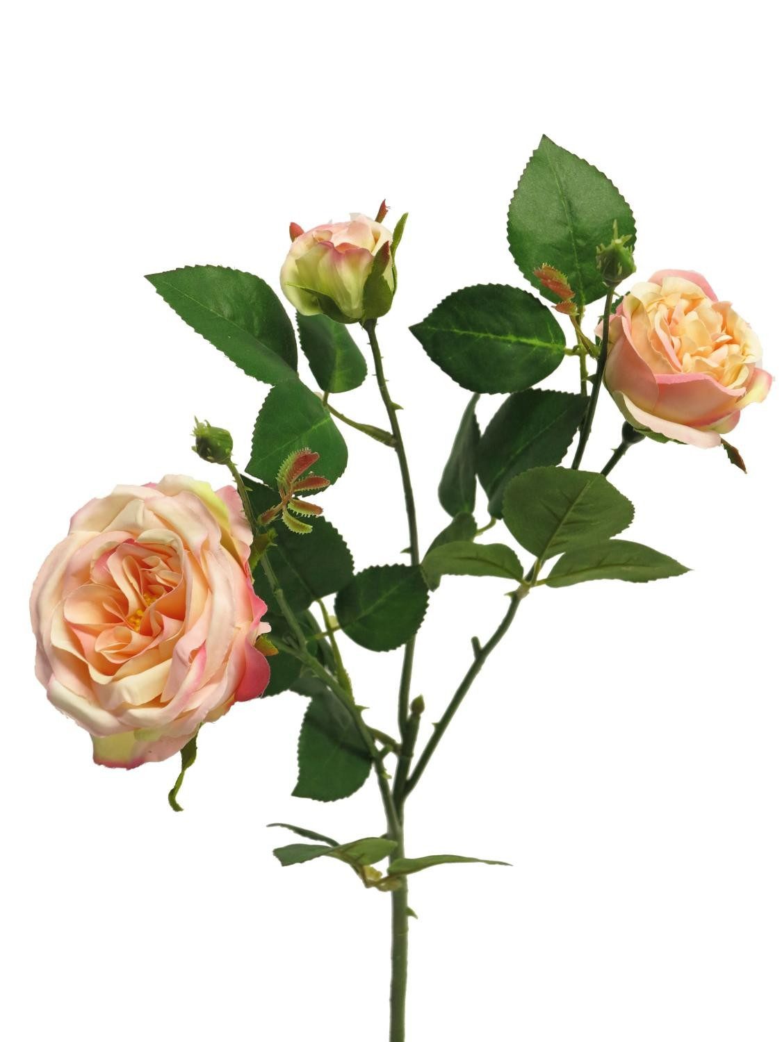 Kunstzweig Deko Zweig Rose SHIYUN, pfirsich-rosa, 60 cm Rose, artplants, Höhe 60.0 cm