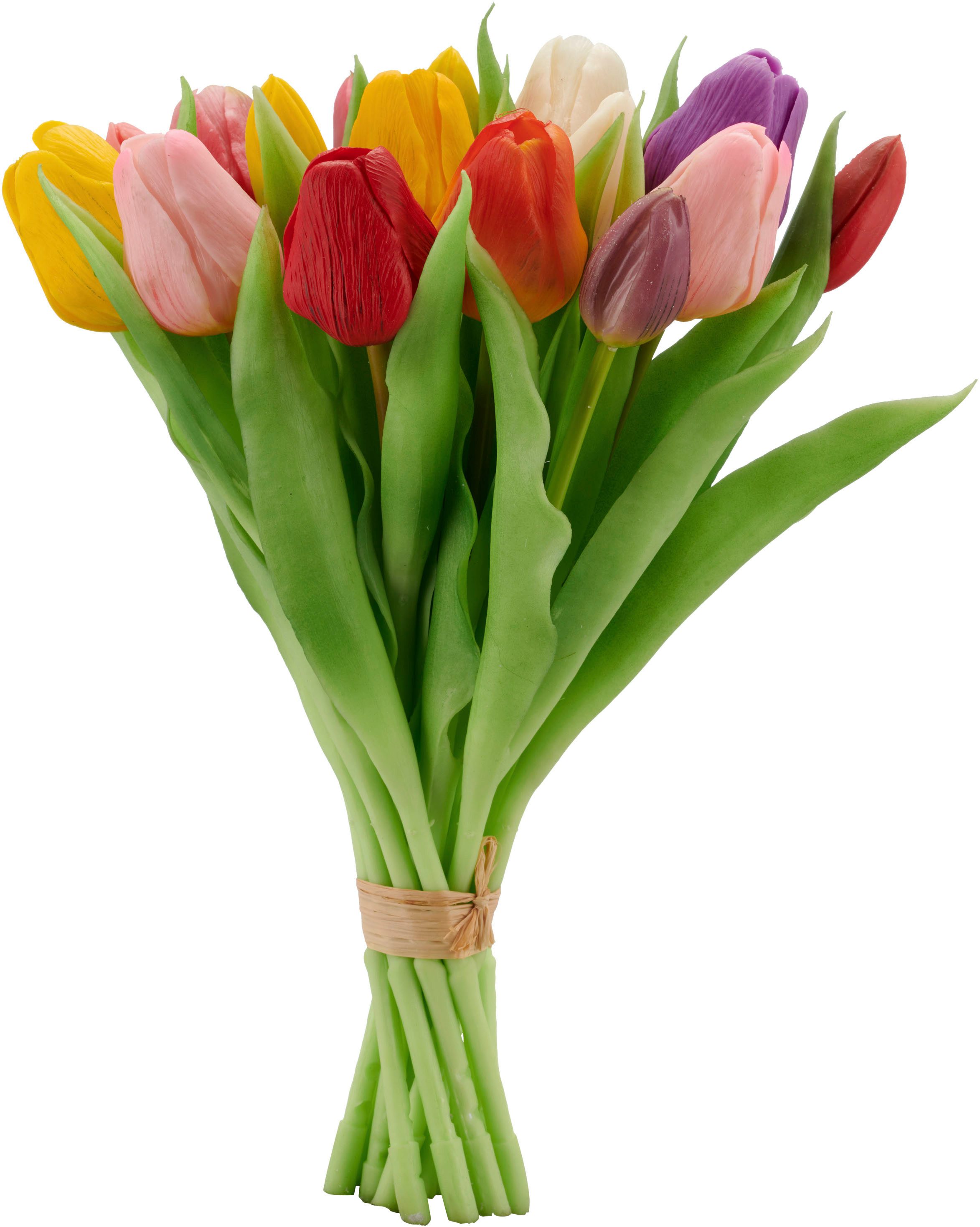 Kunsttulpe Tulpenbund, Creativ green, Höhe 30 cm, aus 16 Einzelstielen