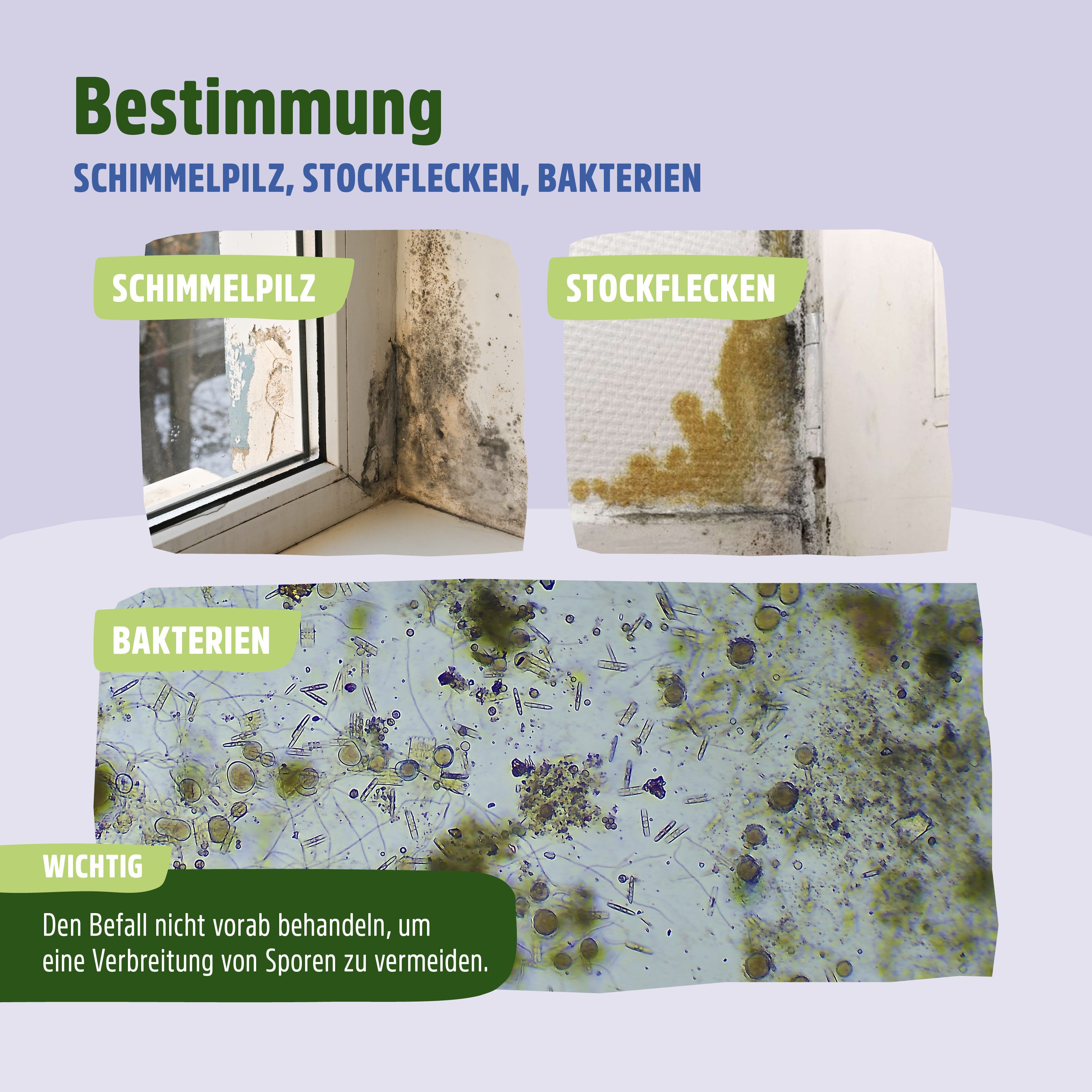 Futura-Shop Schimmelentferner Chlorfrei 0.5 L für Wohn- und Schlafräume Schimmelentferner (1-St)