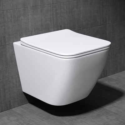 Mai & Mai Tiefspül-WC Hänge-WC Keramik spülrandloses-WC Wandmontage inkl. Softclose Sitz, wandhängend, inklusive WC-Sitz