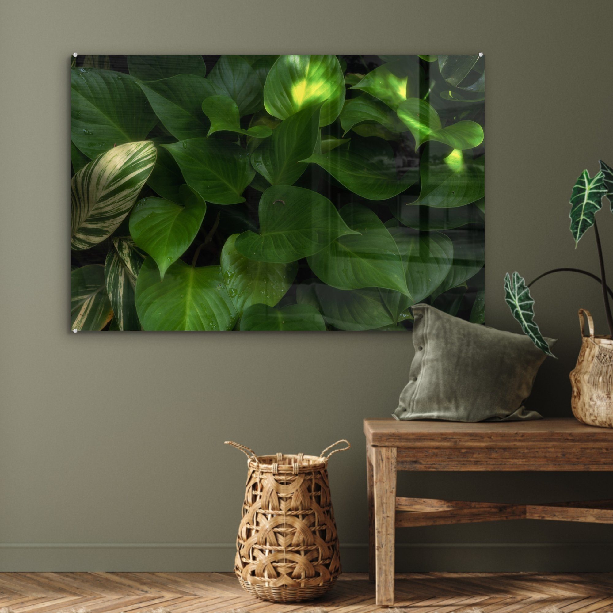 MuchoWow Acrylglasbild Pflanze - Sonne - Dschungel, Acrylglasbilder Schlafzimmer Wohnzimmer (1 St), &