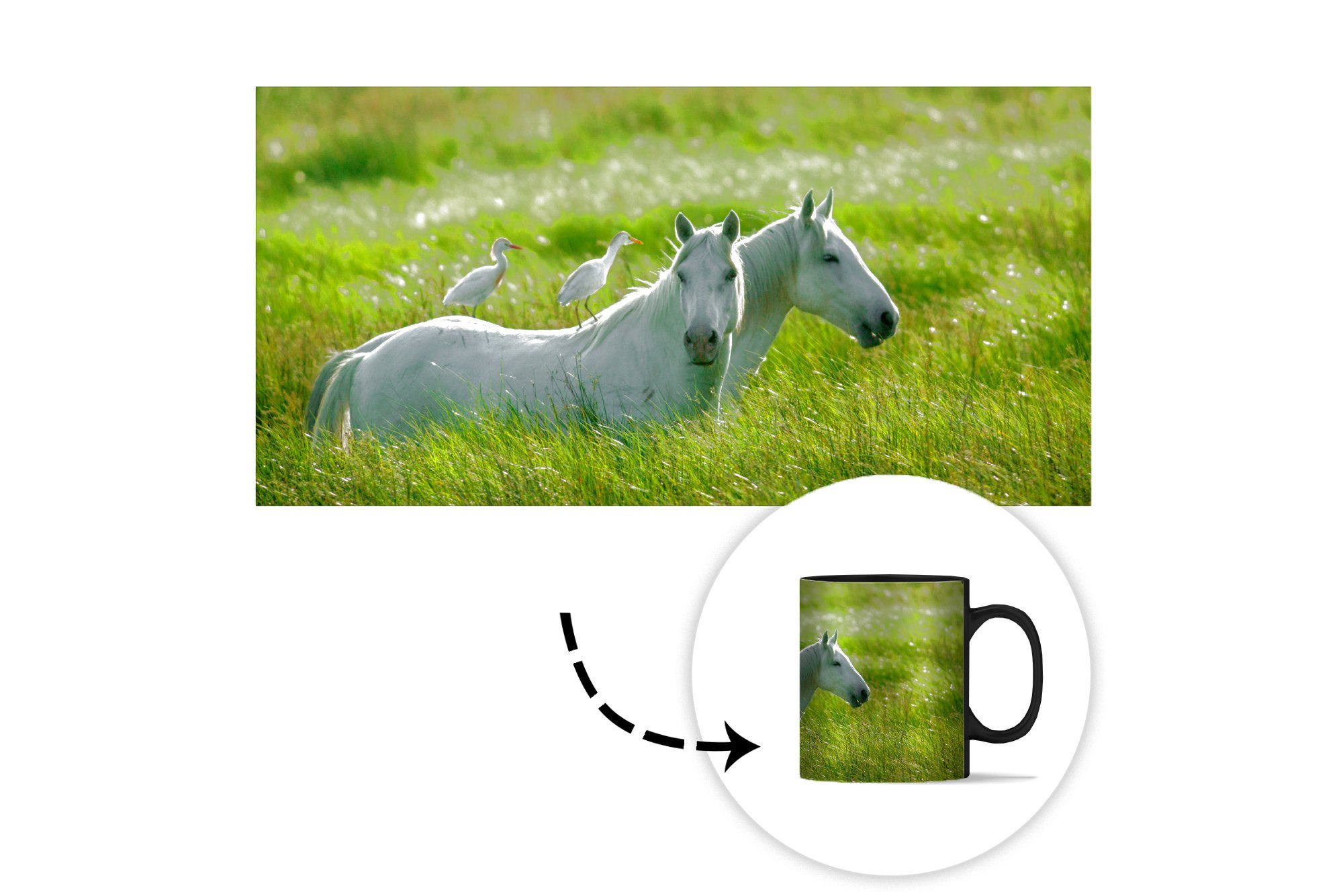 Gras, Keramik, Pferde Farbwechsel, Vogel - MuchoWow Teetasse, Zaubertasse, Tasse Kaffeetassen, - Geschenk
