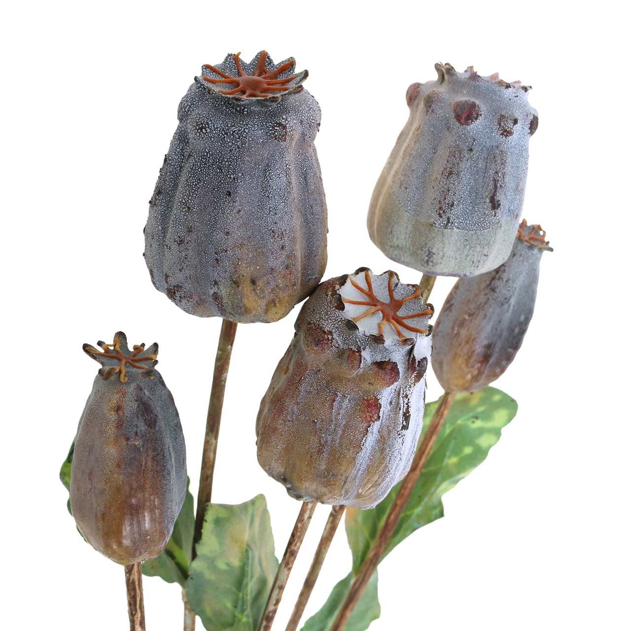 Kunstblume Künstliche Mohnkapseln für Herbstdeko und Trockenarrangements, Florists Products, Höhe 5 cm