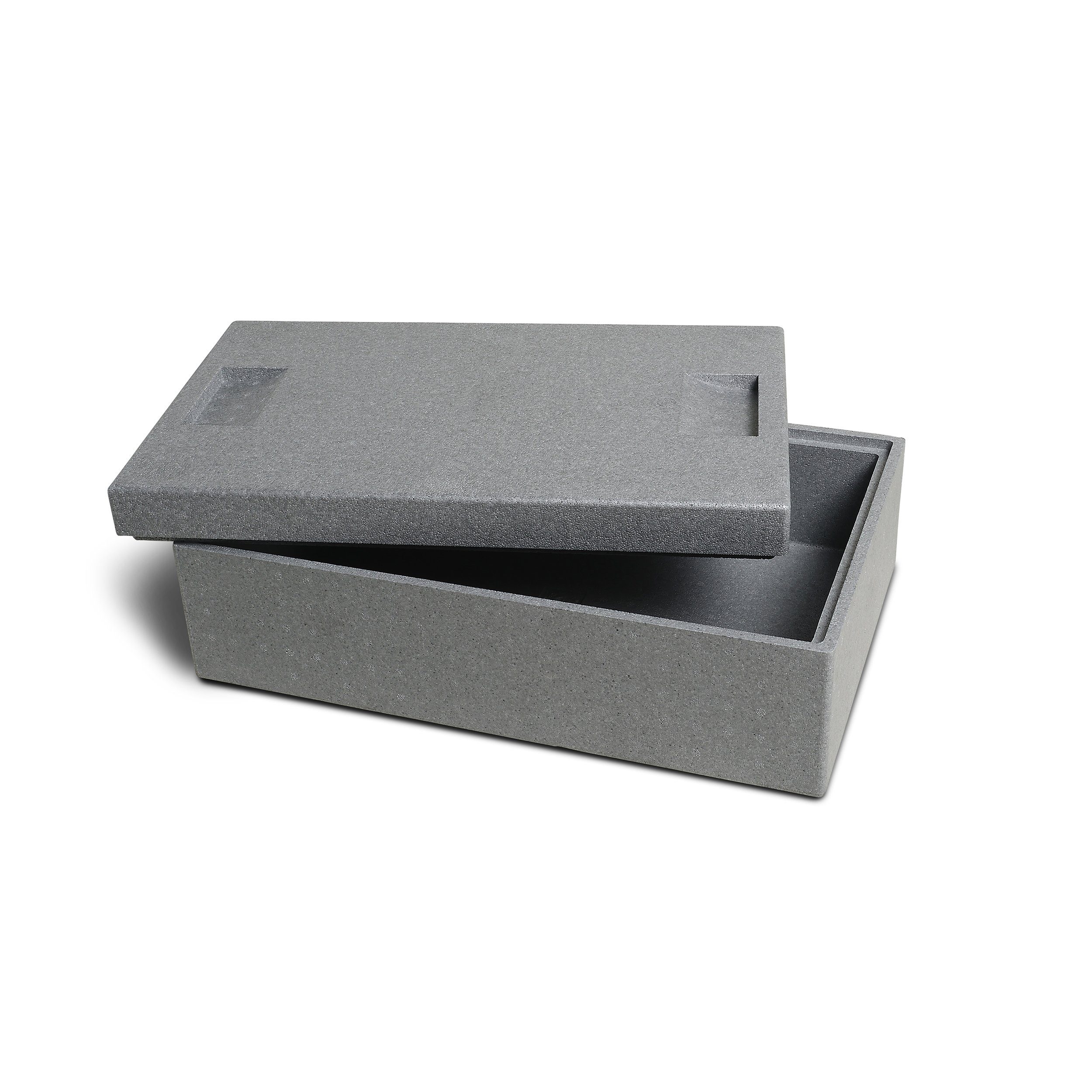 Climapor Kühlbox Climapor Transportbox klein, Volumen: 54,5 x 35 x 18 cm (16,5 Liter), 16 l