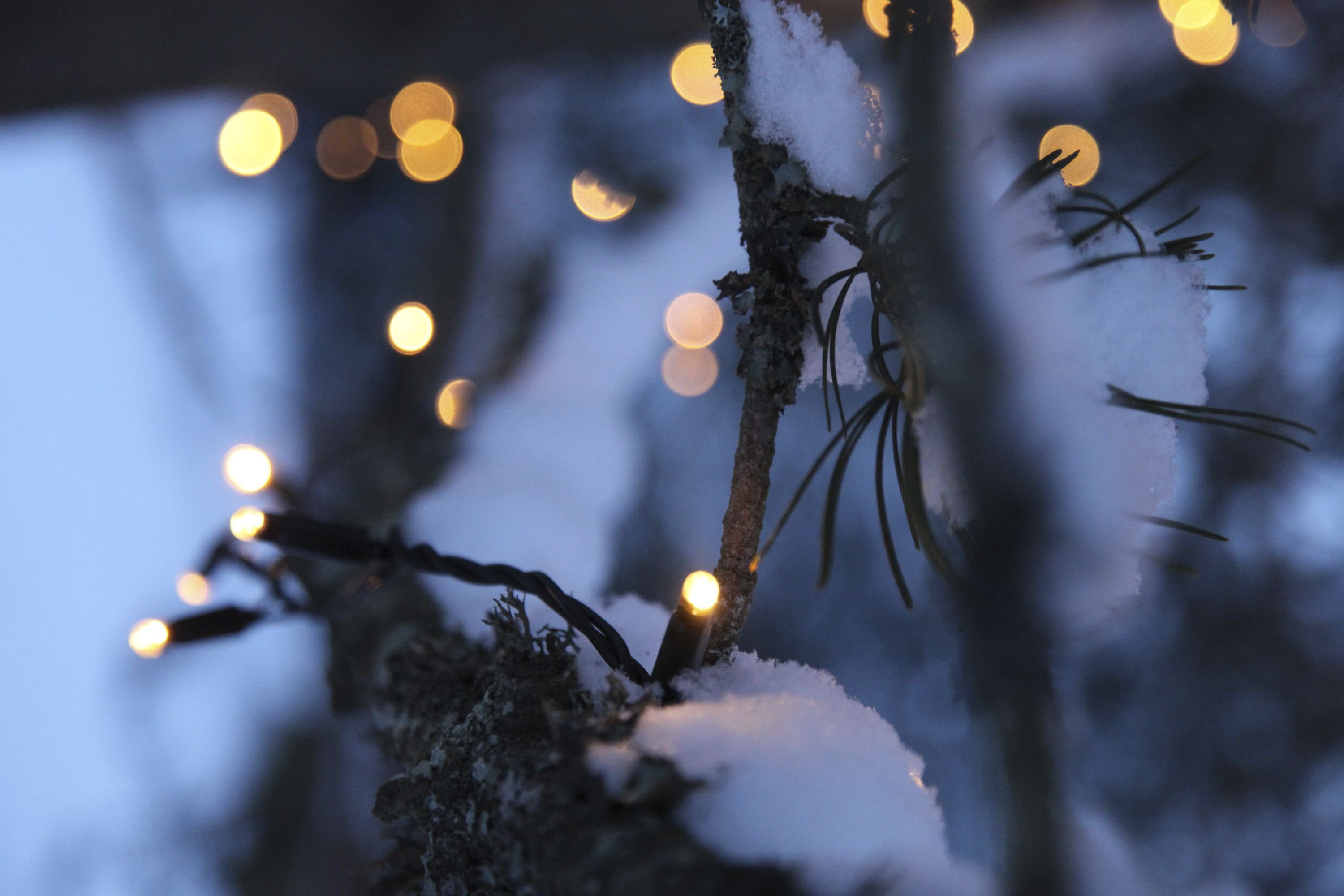 STAR TRADING LED Lichtleiste System Expo "Starter-Set" Lichterkette 10m für max. 2000W