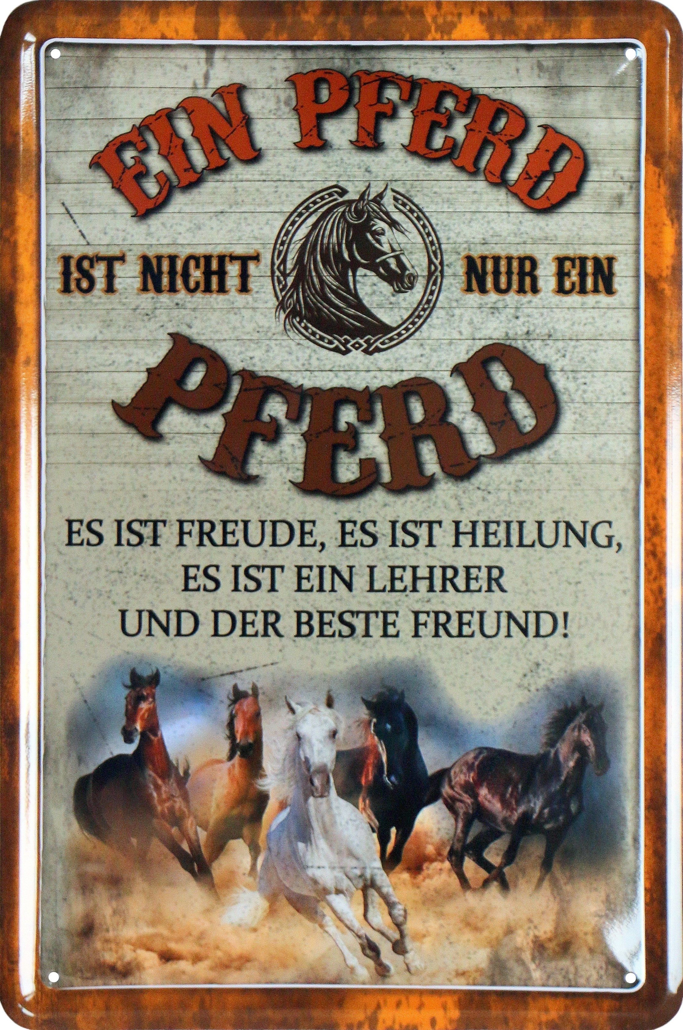 WOGEKA ART Metallbild Ein Pferd ist nicht nur ein Pferd - 20 x 30 cm Retro Blechschild, Blech976
