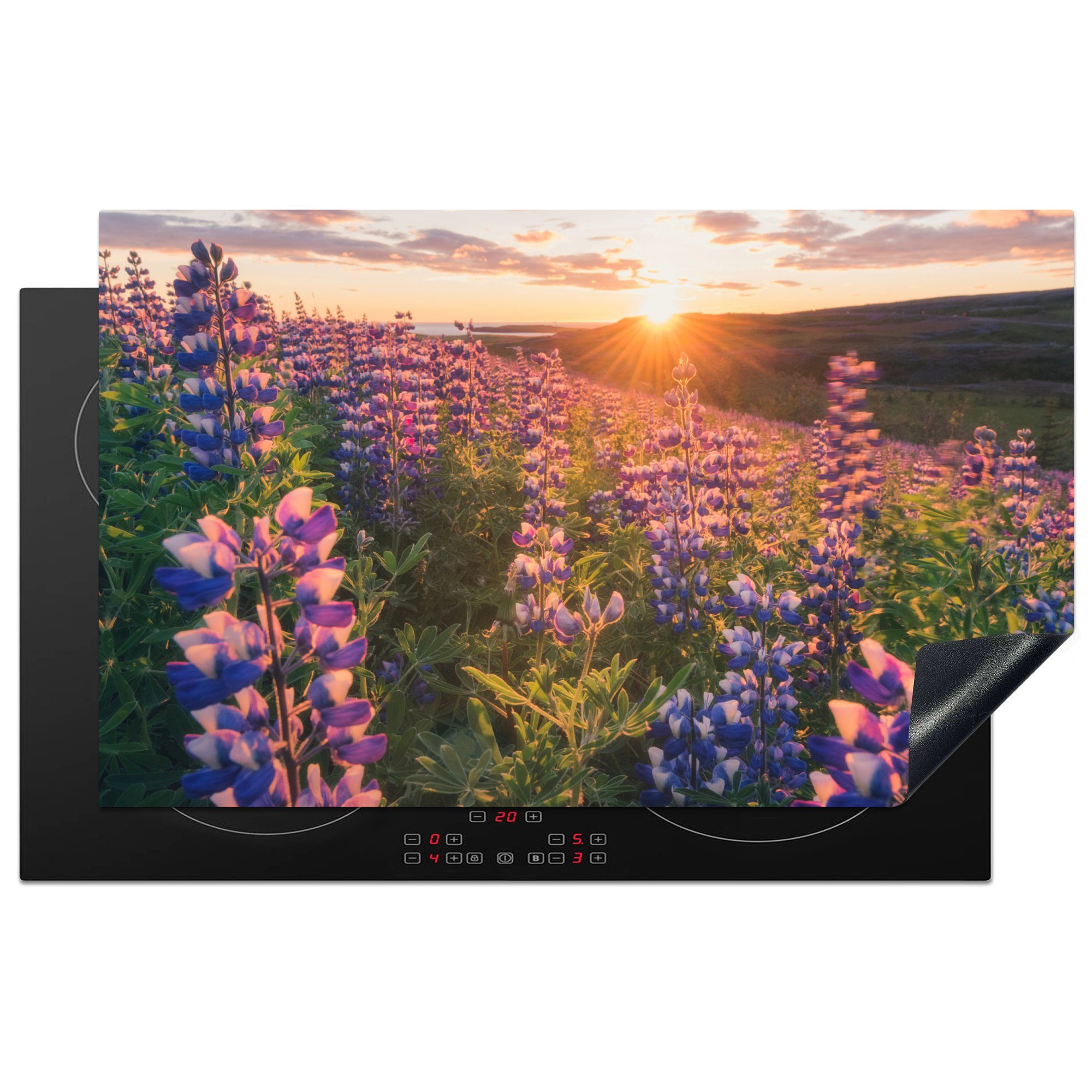 MuchoWow Herdblende-/Abdeckplatte Lupine - Sonne - Lila, Vinyl, (1 tlg), 83x51 cm, Ceranfeldabdeckung, Arbeitsplatte für küche