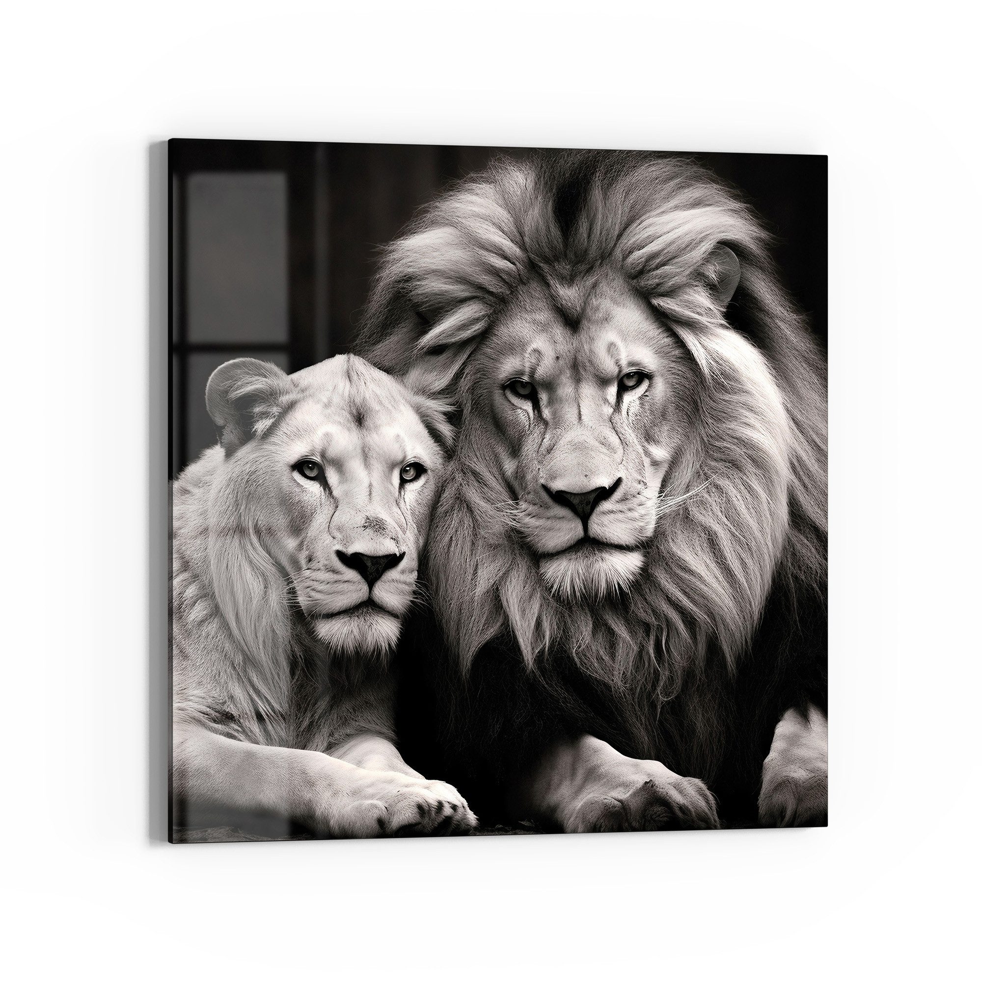 DEQORI Glasbild 'Stolzes Löwenpaar', 'Stolzes Löwenpaar', günstig online kaufen