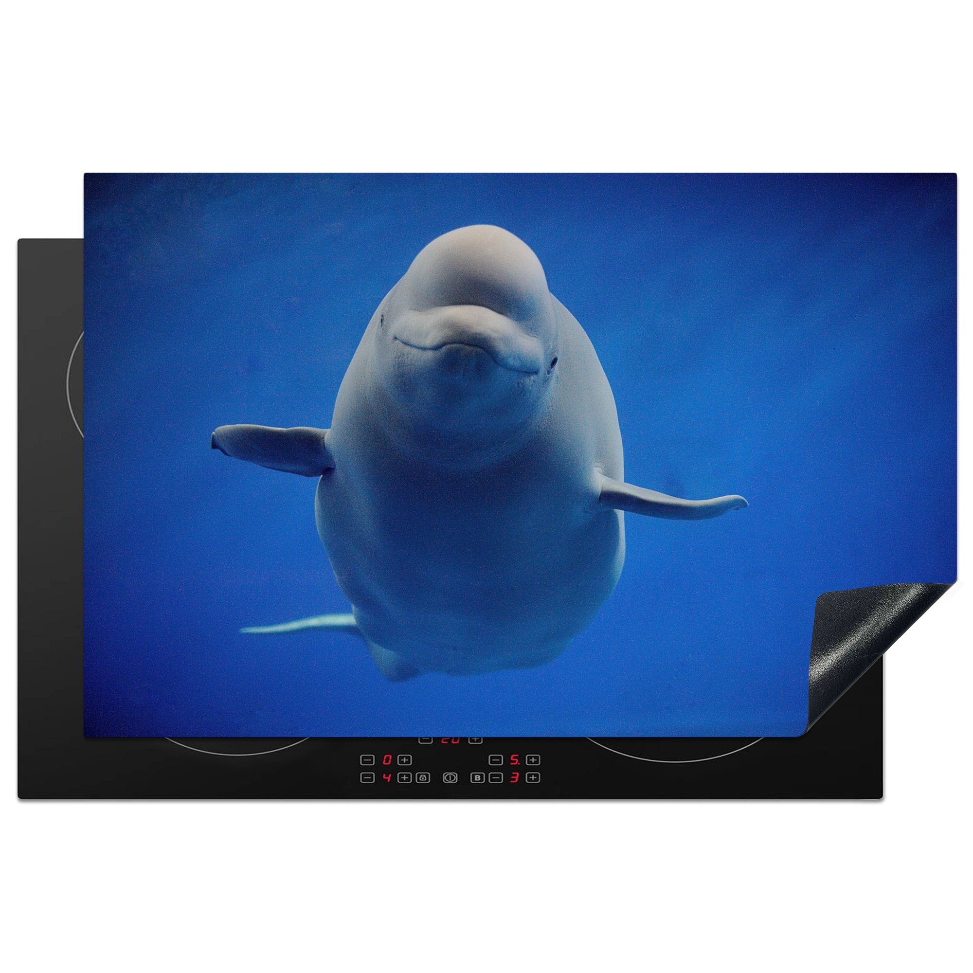 Delfin 81x52 Ceranfeldabdeckung cm, MuchoWow Weiß, Wasser Schutz - Herdblende-/Abdeckplatte tlg), Vinyl, - die Blau küche, Induktionskochfeld für - (1