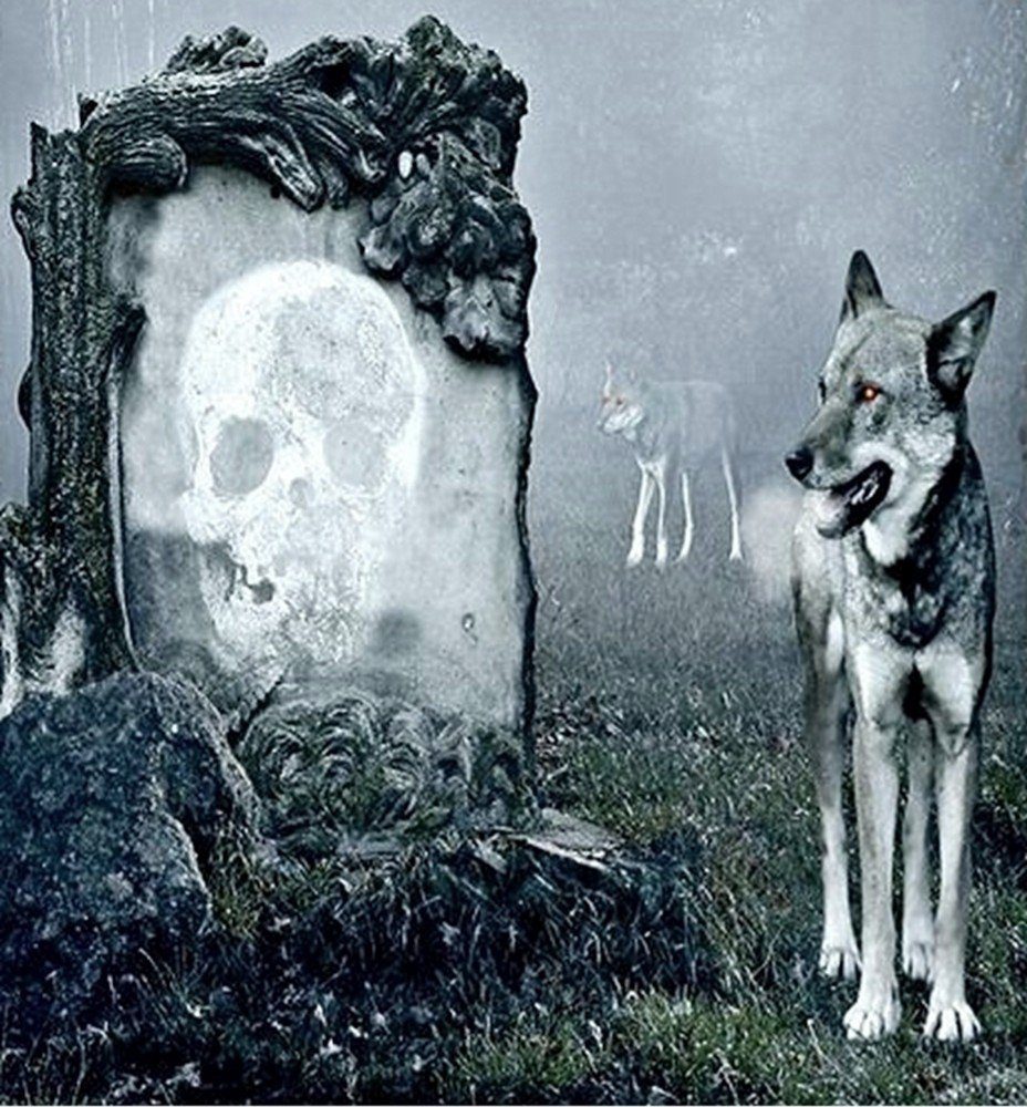 JACK Bettwäsche Microfaser Bettwäsche 135x200cm Wolf Guard Tier Fantasy Totenkopf Grau, Microfaser, 2 teilig, fotorealistischer Print Druck, Mystisch und geheimnisvoll Wolfsrudel