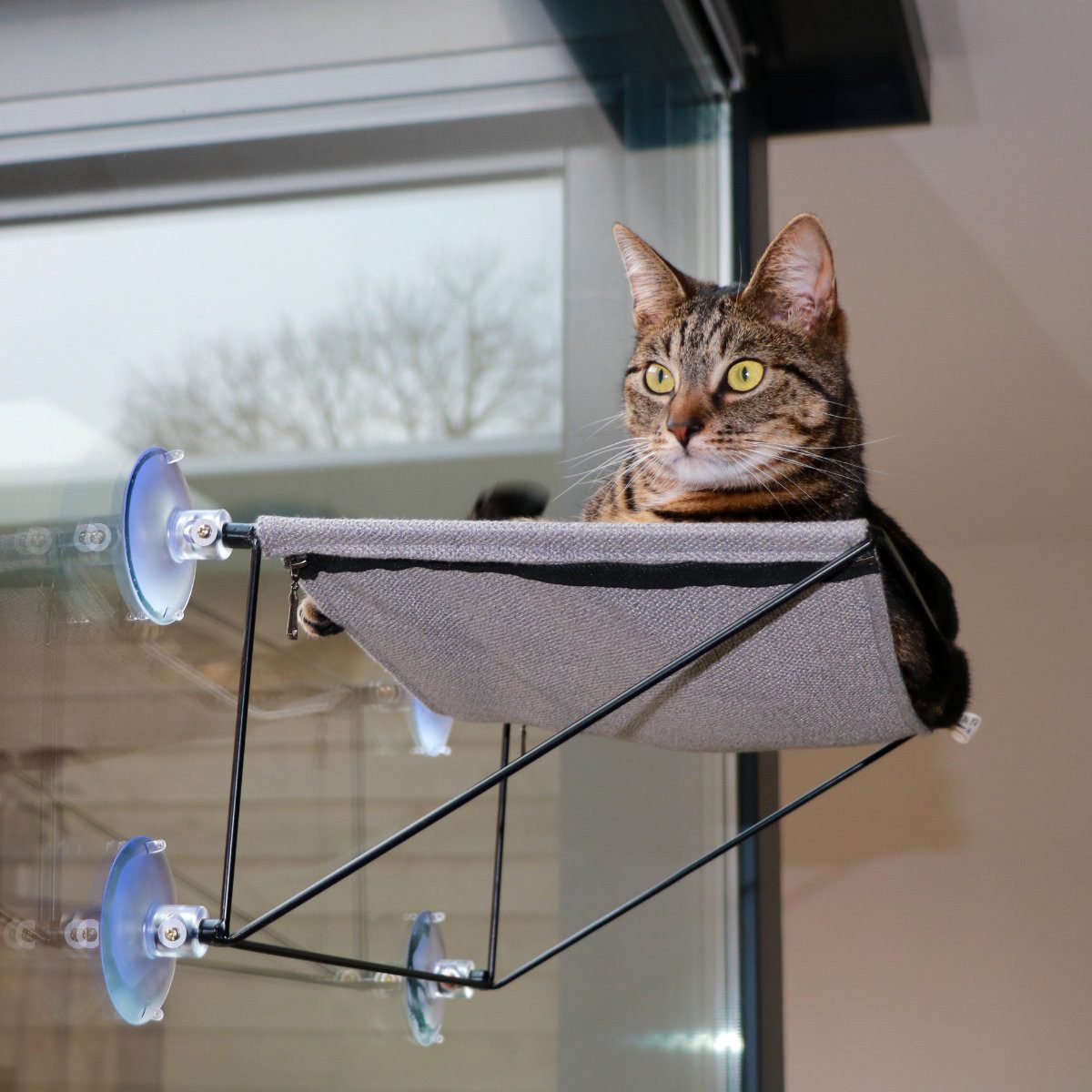 D&D Katzen-Hängematte Fenster-Hängematte I Love Happy Cats Olivia grau