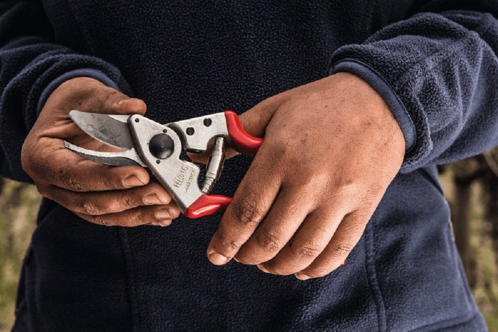 FELCO Gartenschere Felco 16 Baum Reb günstig online kaufen