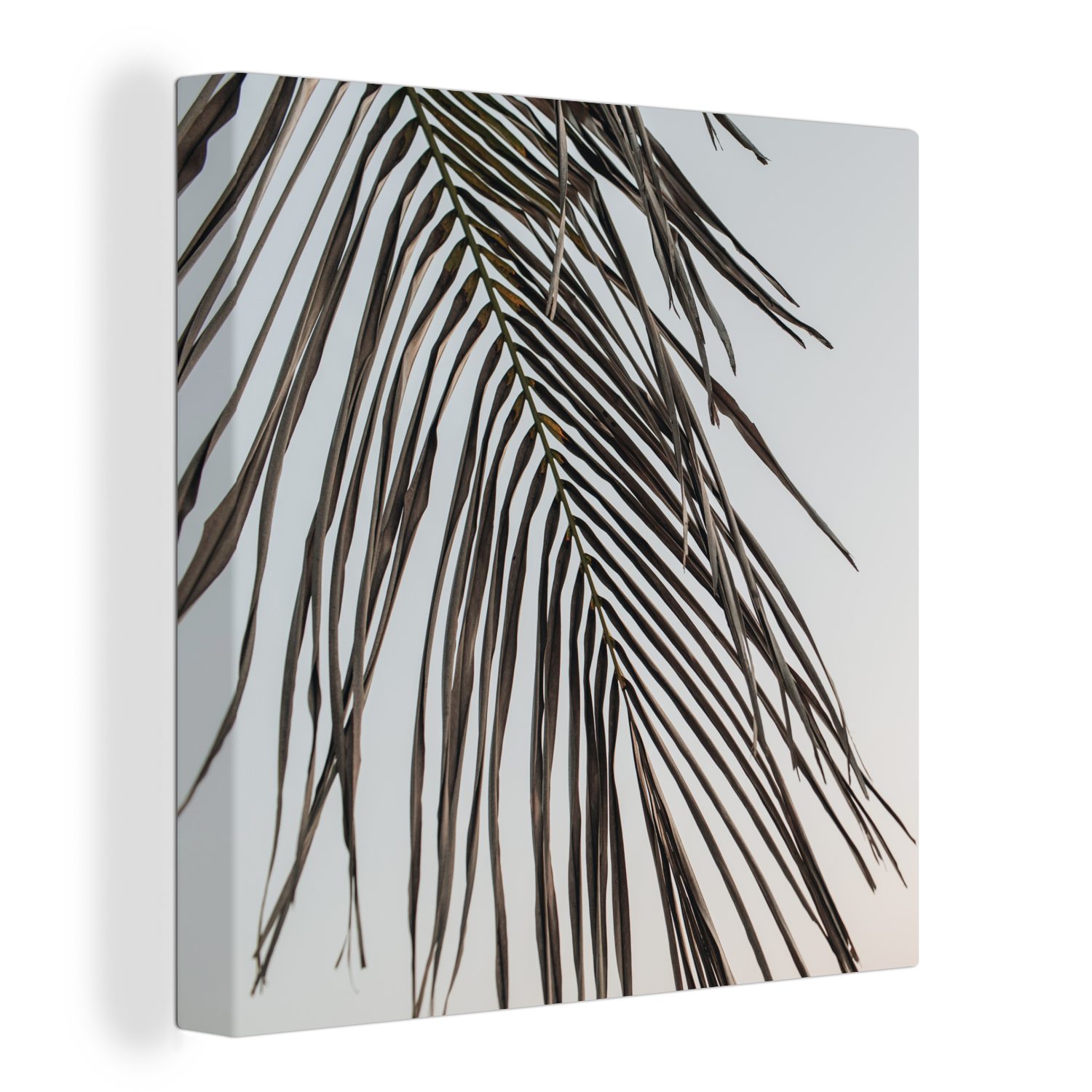 OneMillionCanvasses® Leinwandbild Sommer - Blatt - Palme, (1 St), Leinwand Bilder für Wohnzimmer Schlafzimmer