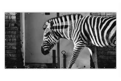 MuchoWow Balkonsichtschutz Zebra - Wand - Tür - Tiere - Schwarz und weiß (1-St) Balkonbespannung mit Metalösen, UV-beständig, Balkonbanner