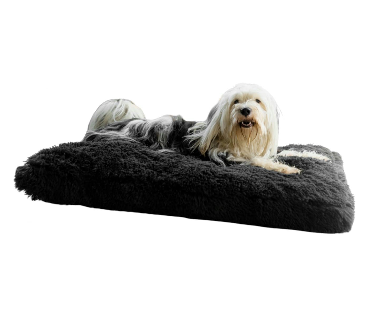 Petzy Hundematte Premium Plüsch Hundebett, Hundematte und Hundekissen, 100% Polyester, flauschig, waschbar, extra dick, bequem